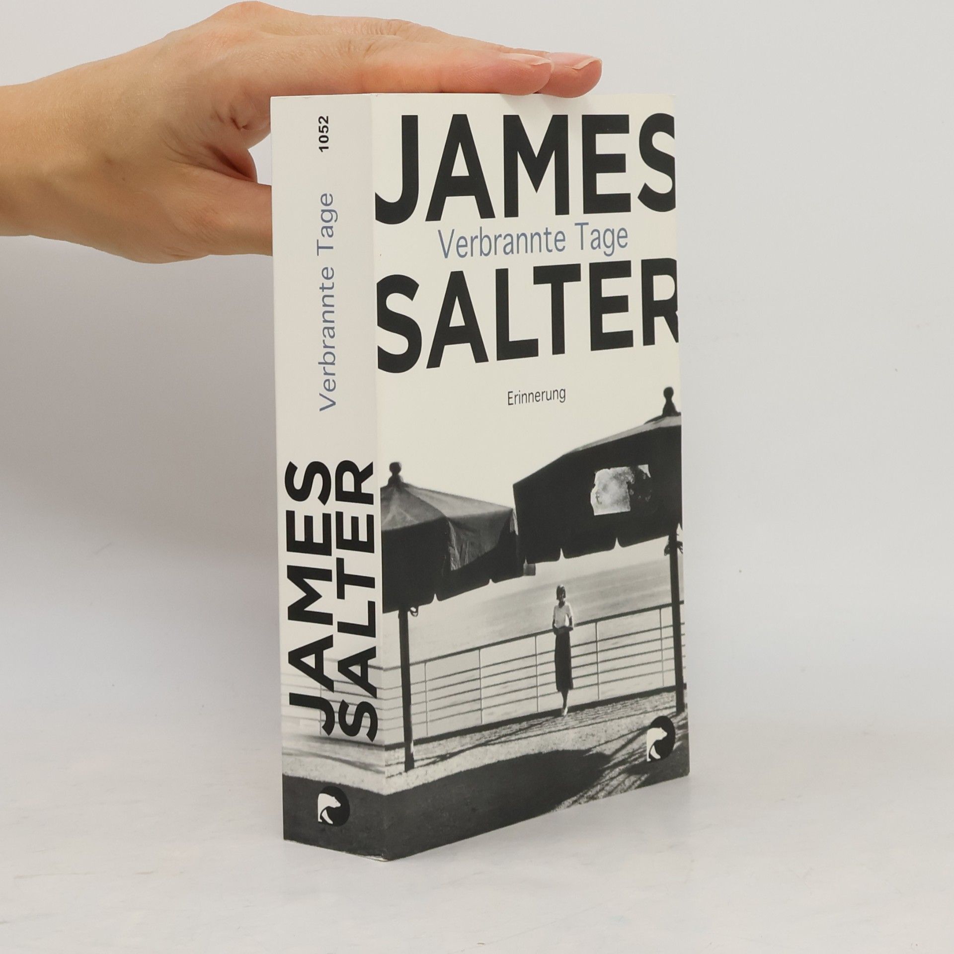James Salter Verbrannte Tage