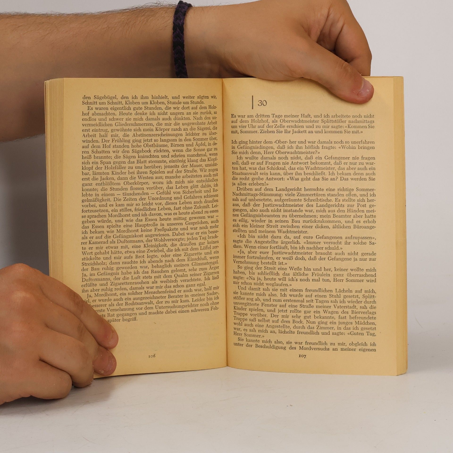 Hans Fallada Der Trinker