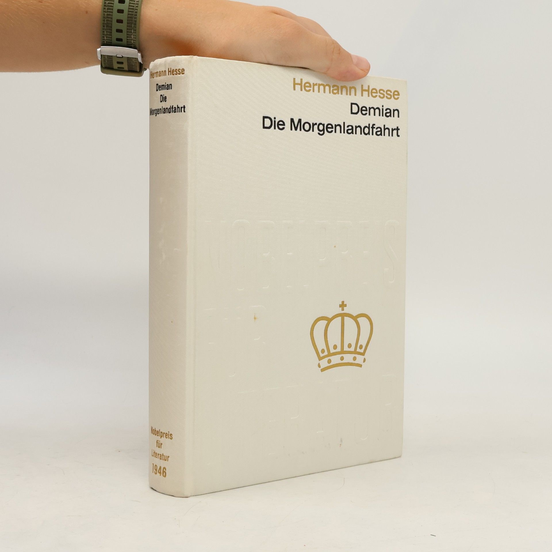 Hermann Hesse Demian. Die Morgenlandfahrt