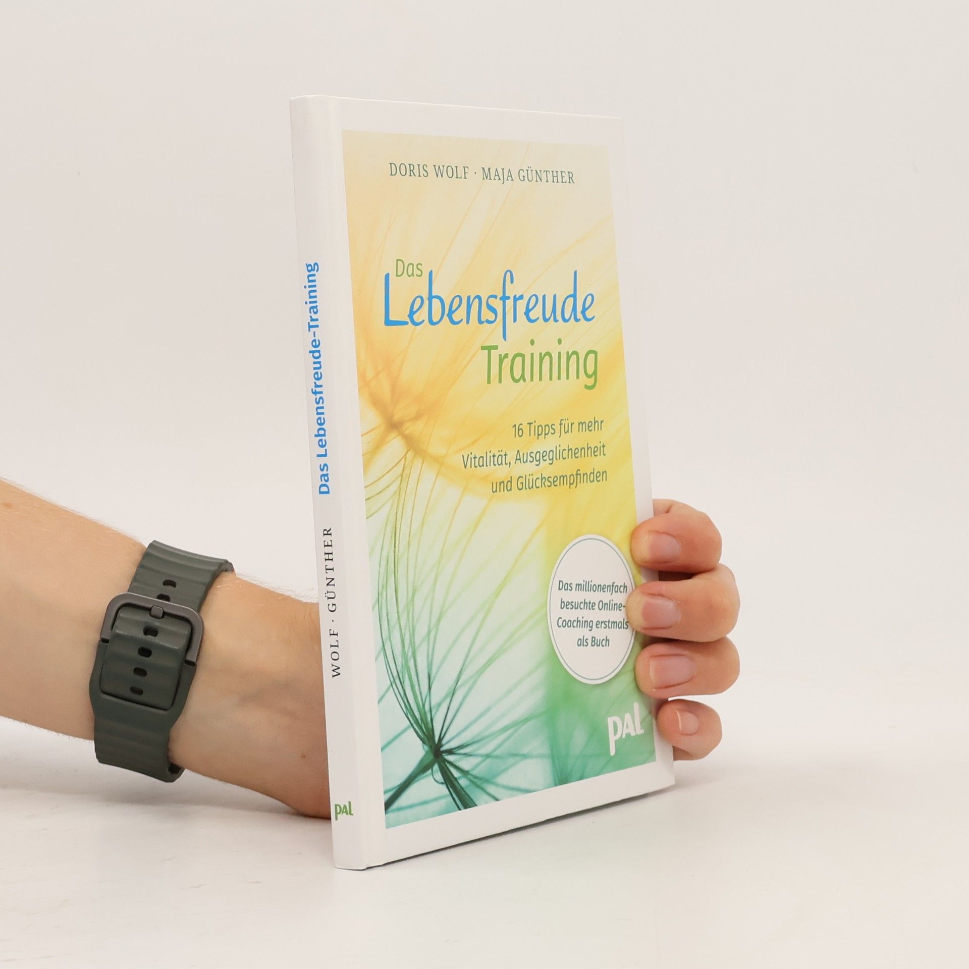 Das Lebensfreude-Training
