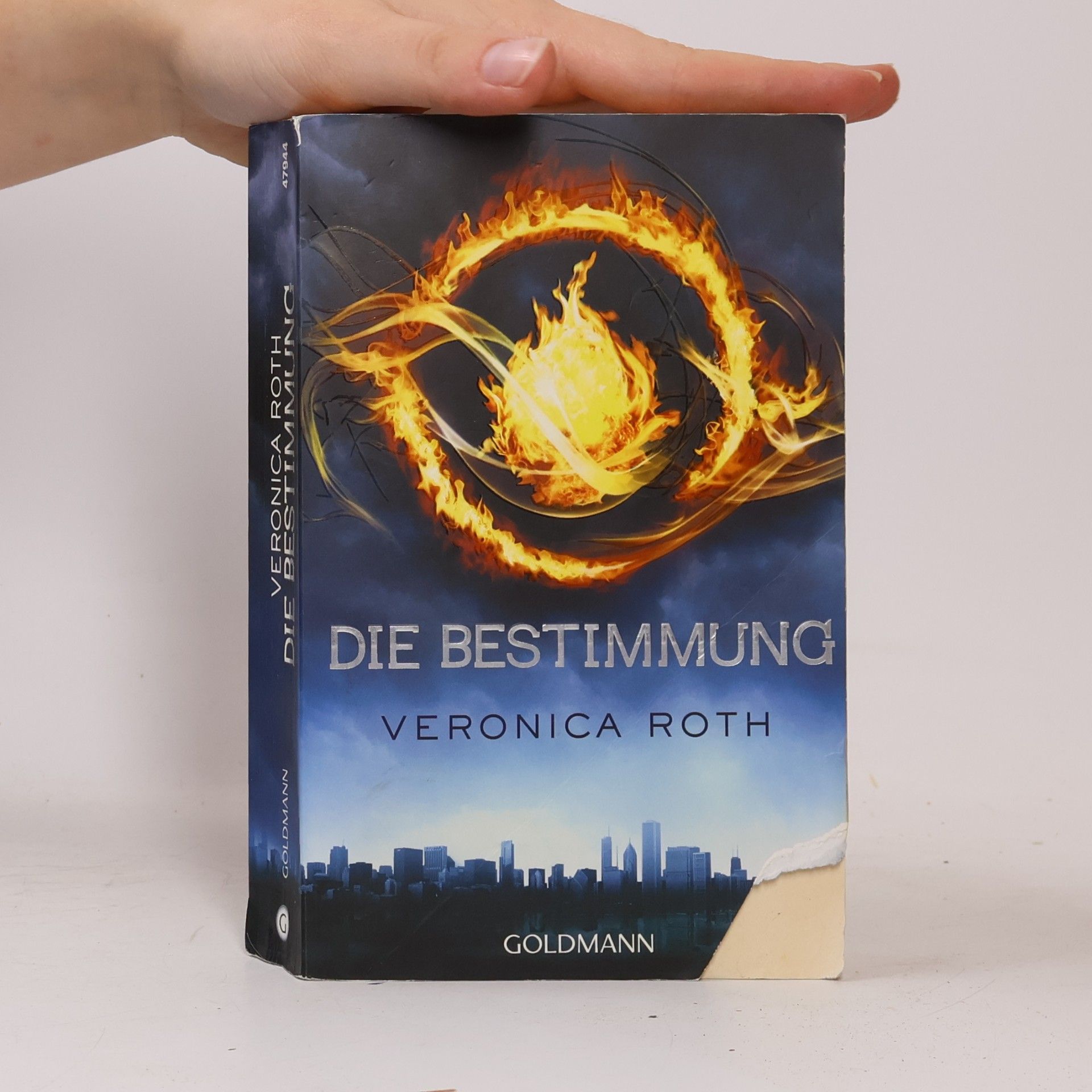 Petra Koob Pawis Die Bestimmung
