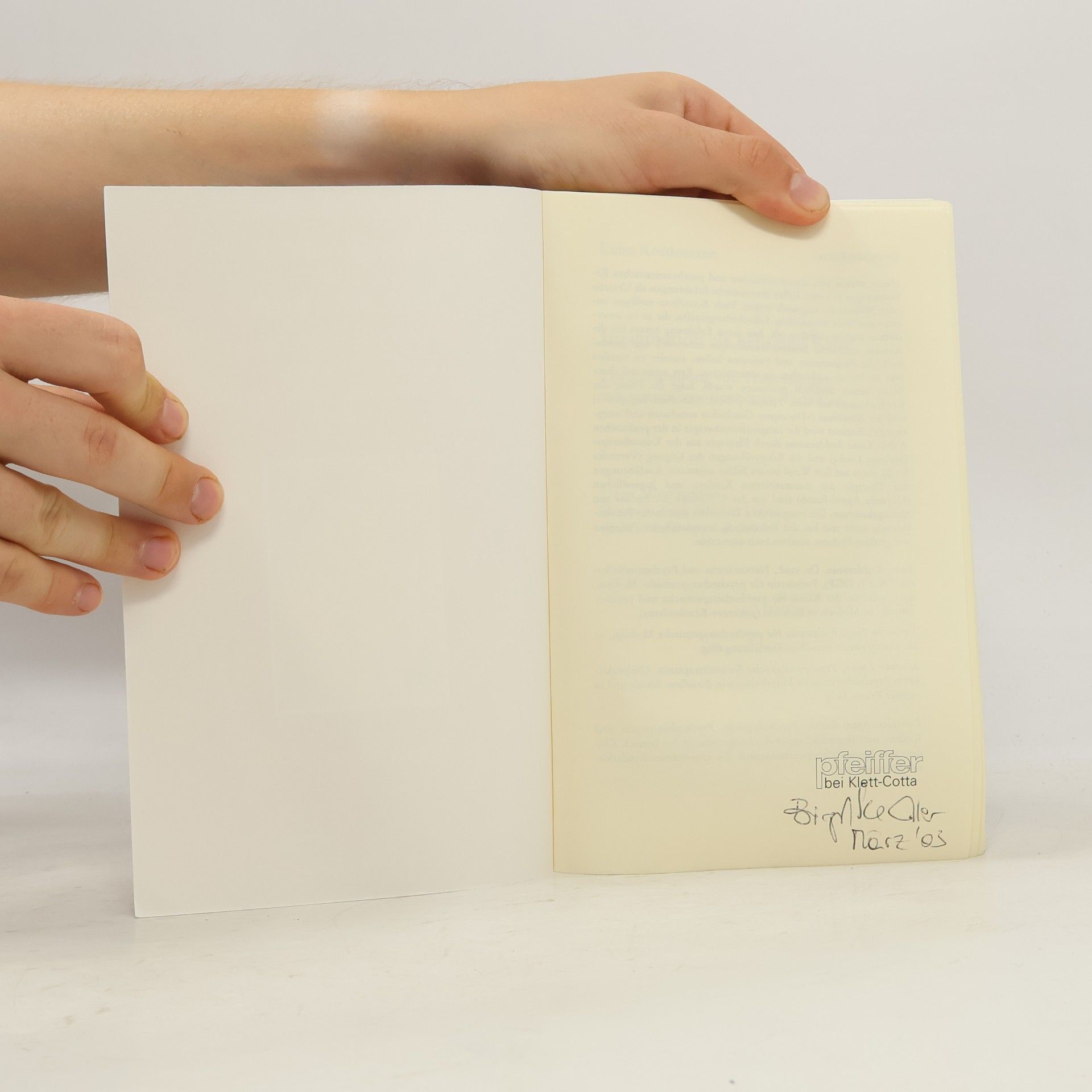 Luise Reddemann Imagination als heilsame Kraft