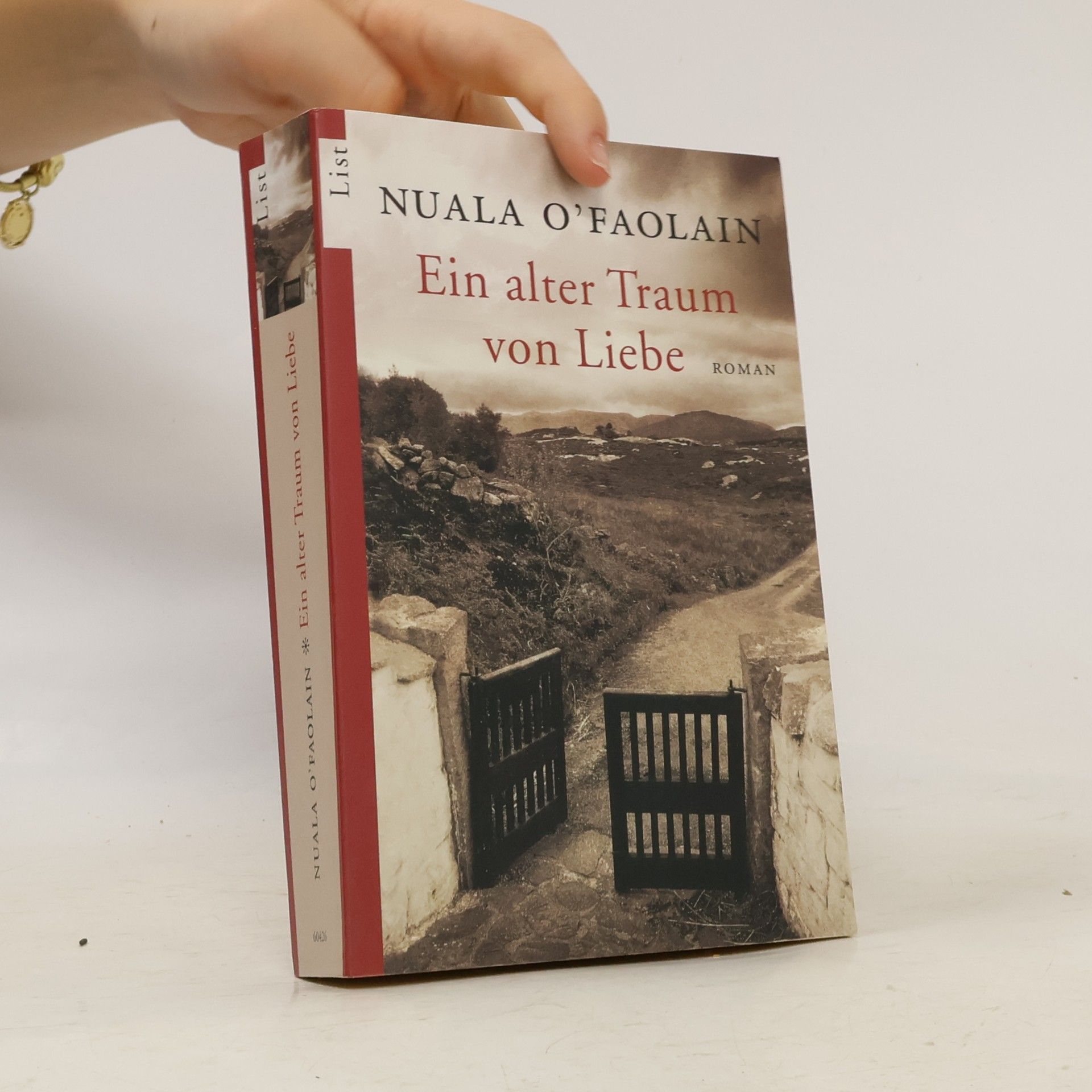 Nuala O. Faolain Ein alter Traum von Liebe