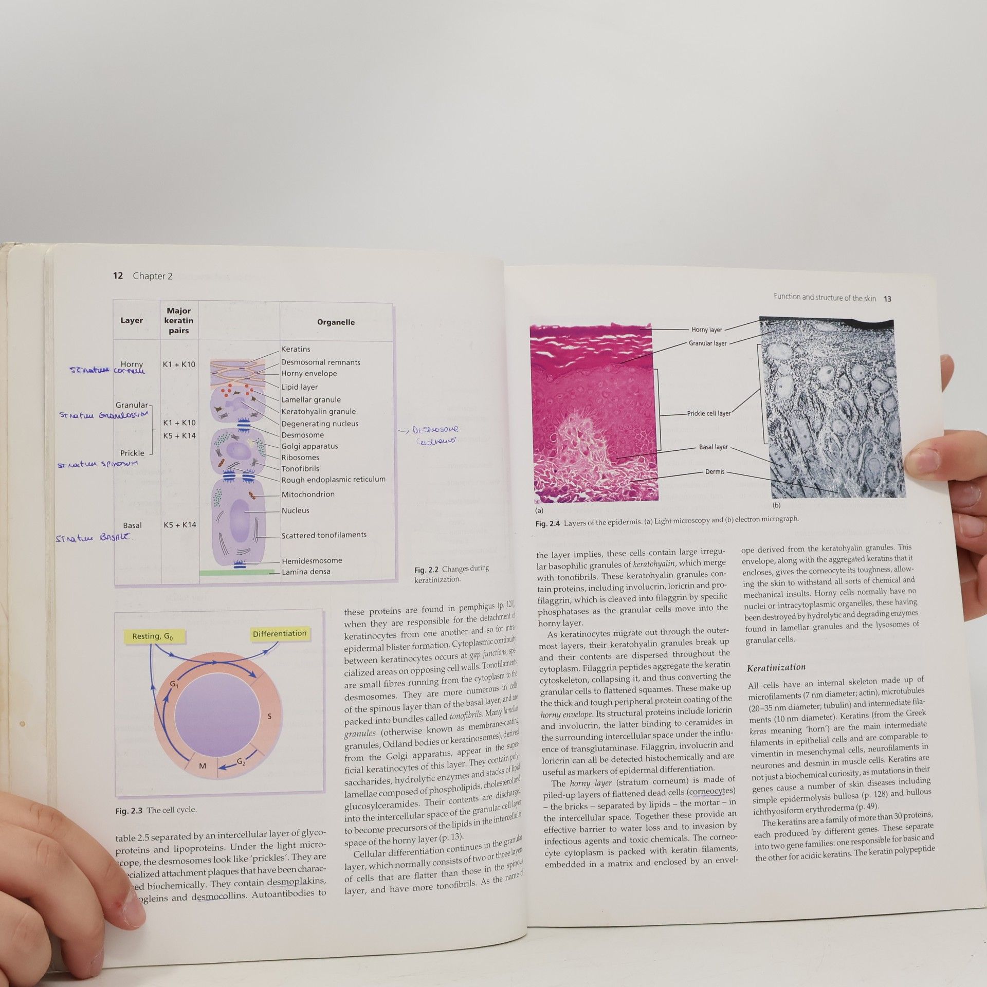 Richard P. J. B. Weller Clinical dermatology