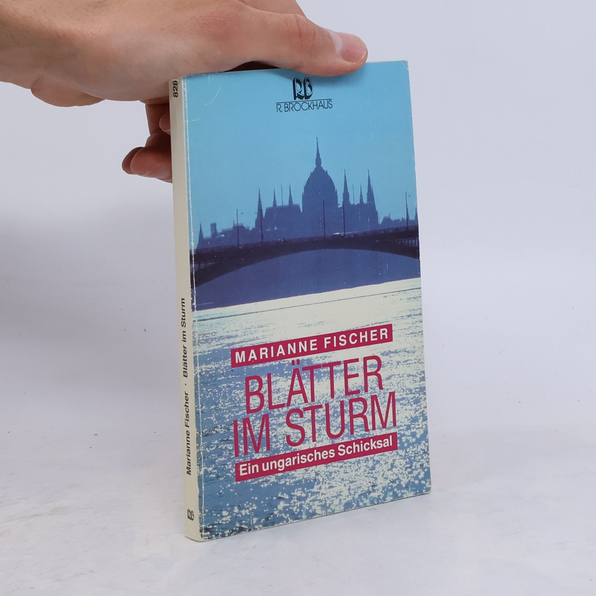 Blätter im Sturm - RBtaschenbücher