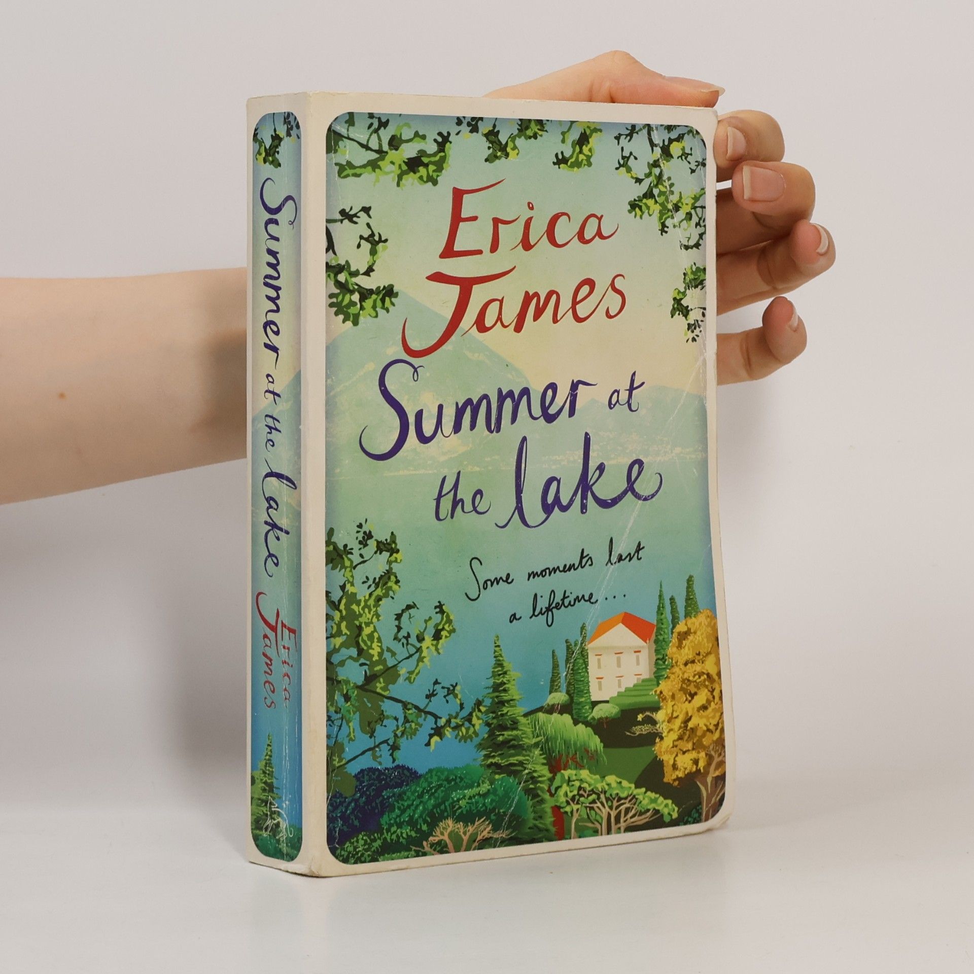 Erica James Summer at the lake