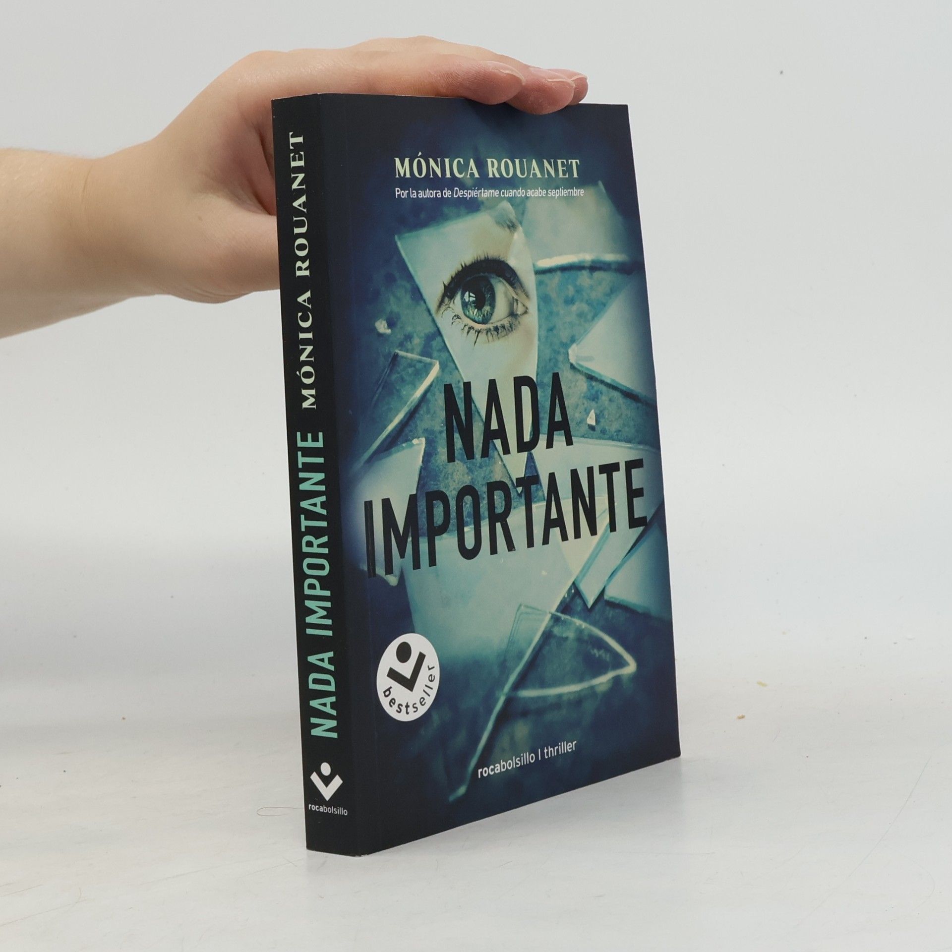 Mónica Rouanet Nada importante