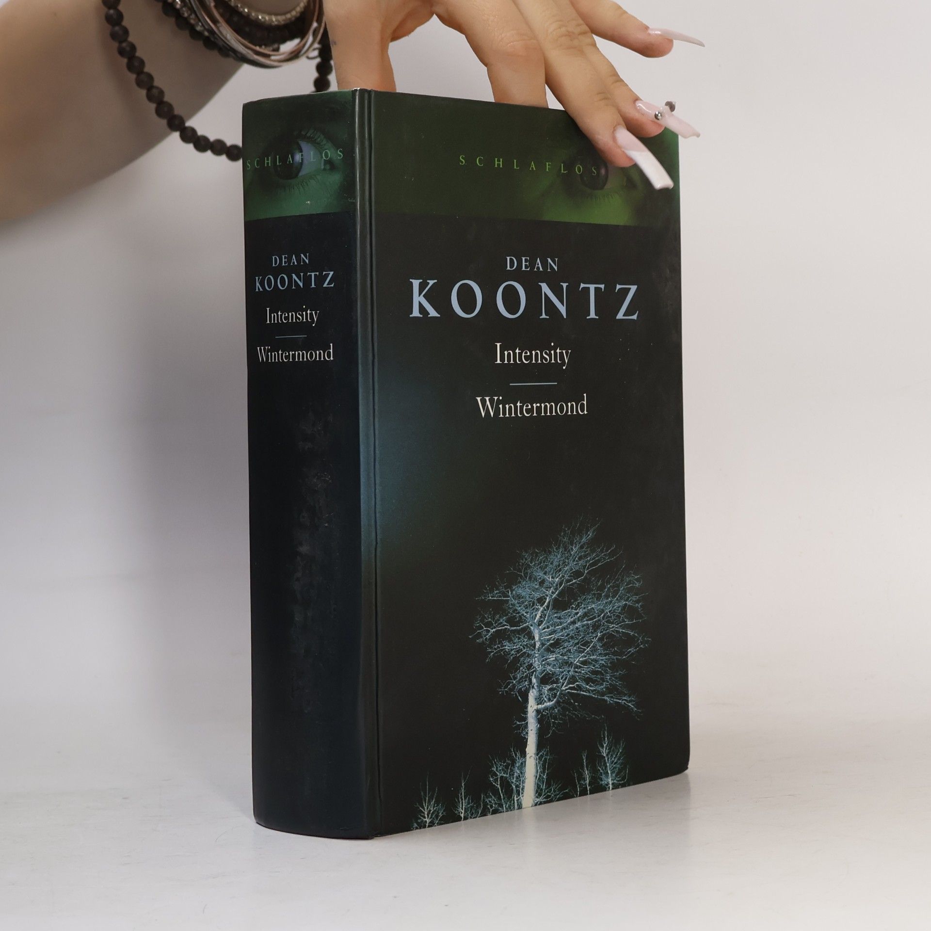 Dean Ray Koontz Intensity. Wintermond