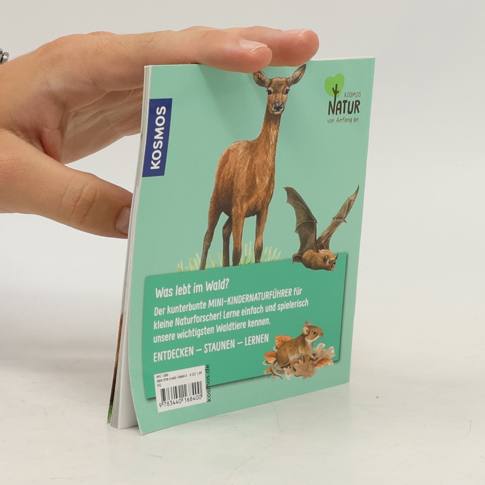 Bärbel Oftring Was lebt im Wald?. Mini-Kindernaturführer
