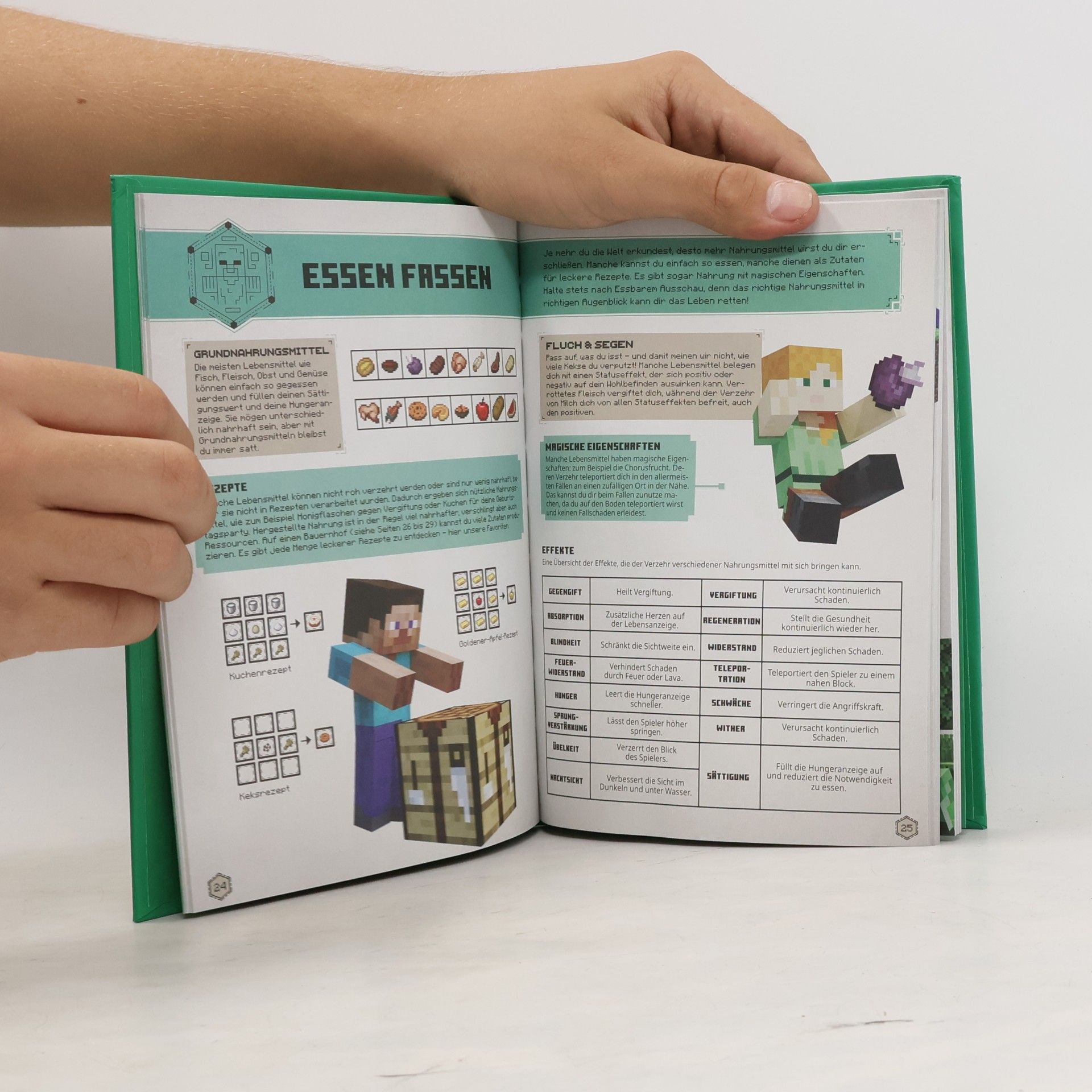 Minecraft Minecraft Das Survival-Handbuch