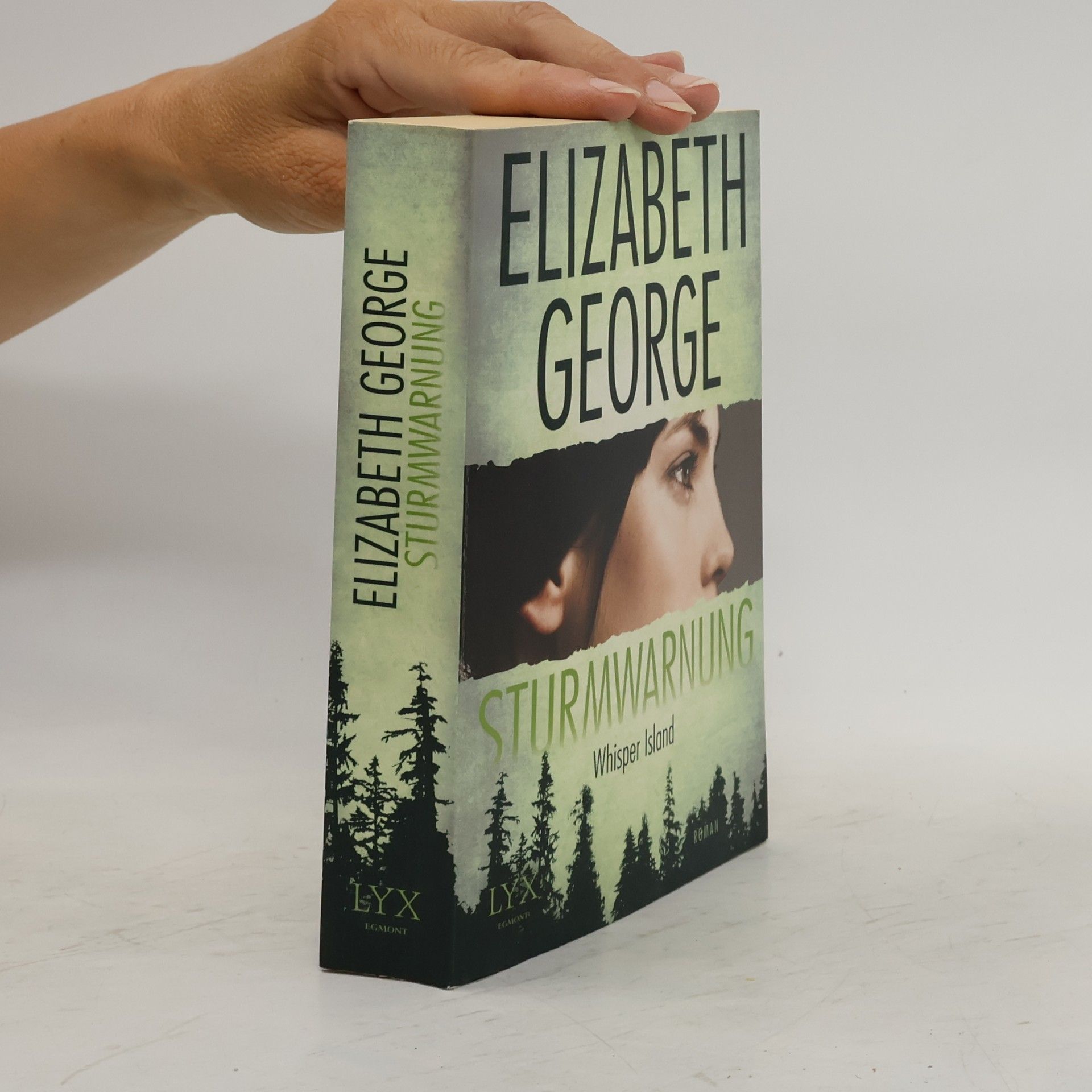 Elizabeth George Sturmwarnung: Whisper Island