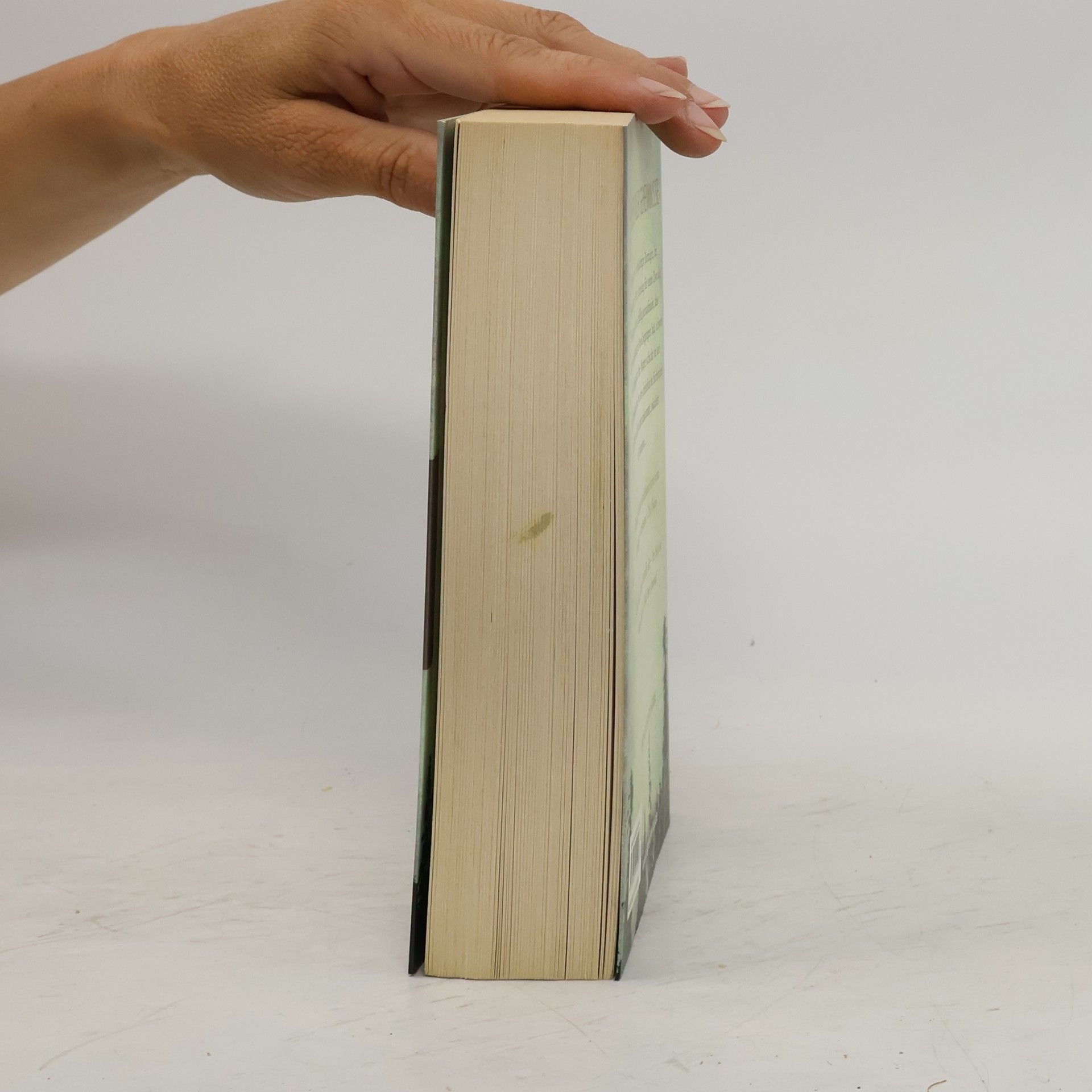 Elizabeth George Sturmwarnung: Whisper Island