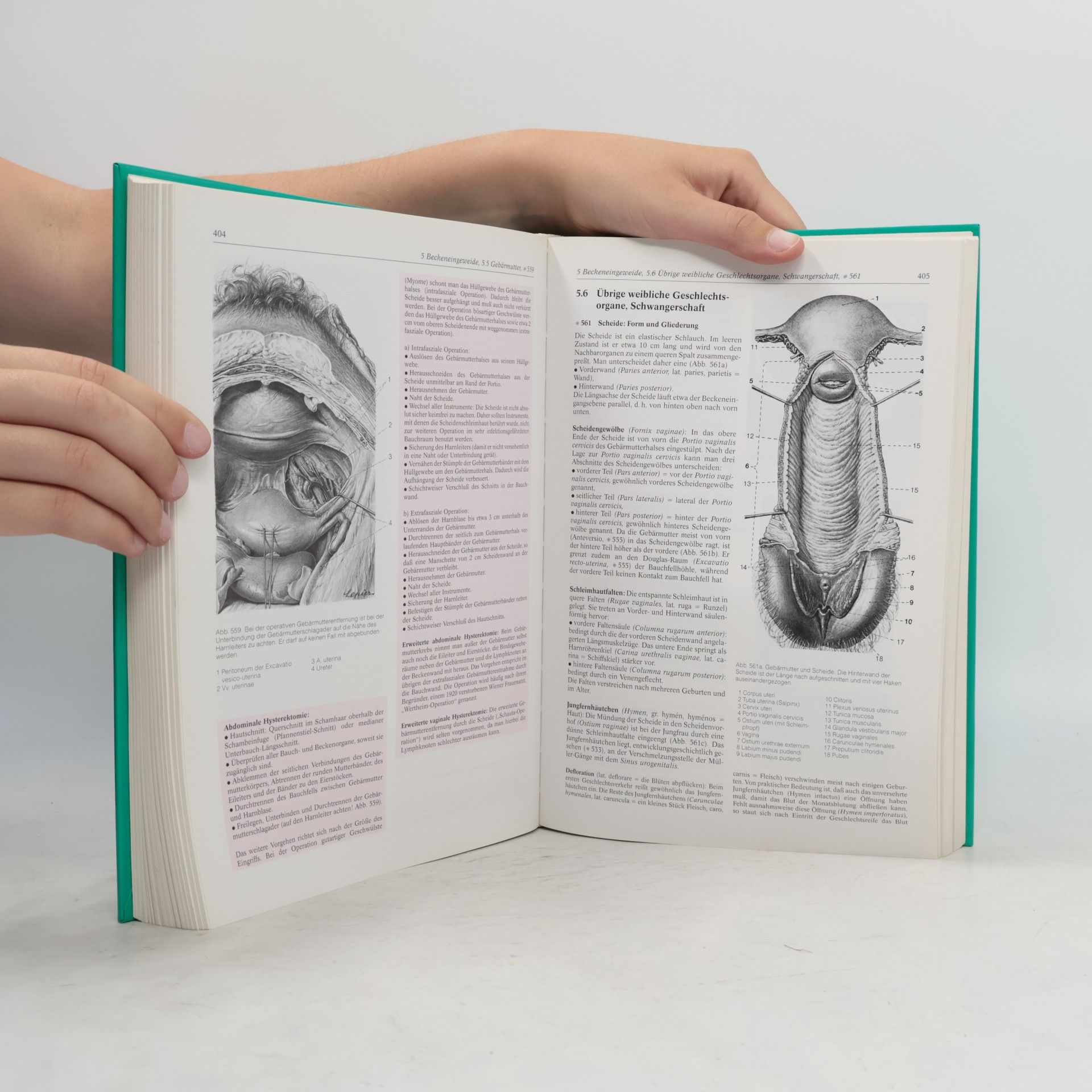 Herbert Lippert Lehrbuch Anatomie