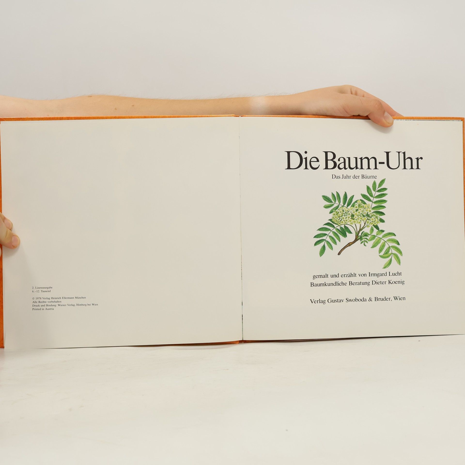 Kolektiv autorů Die Baum-Uhr