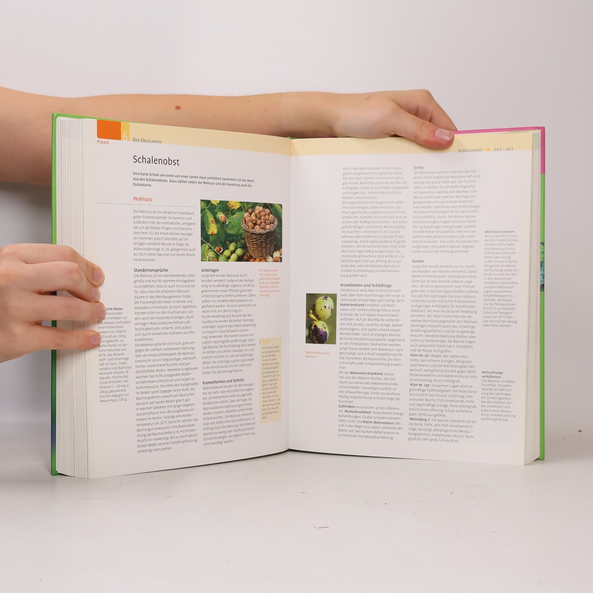 Wolfgang Kawollek Das Ulmer Gartenbuch