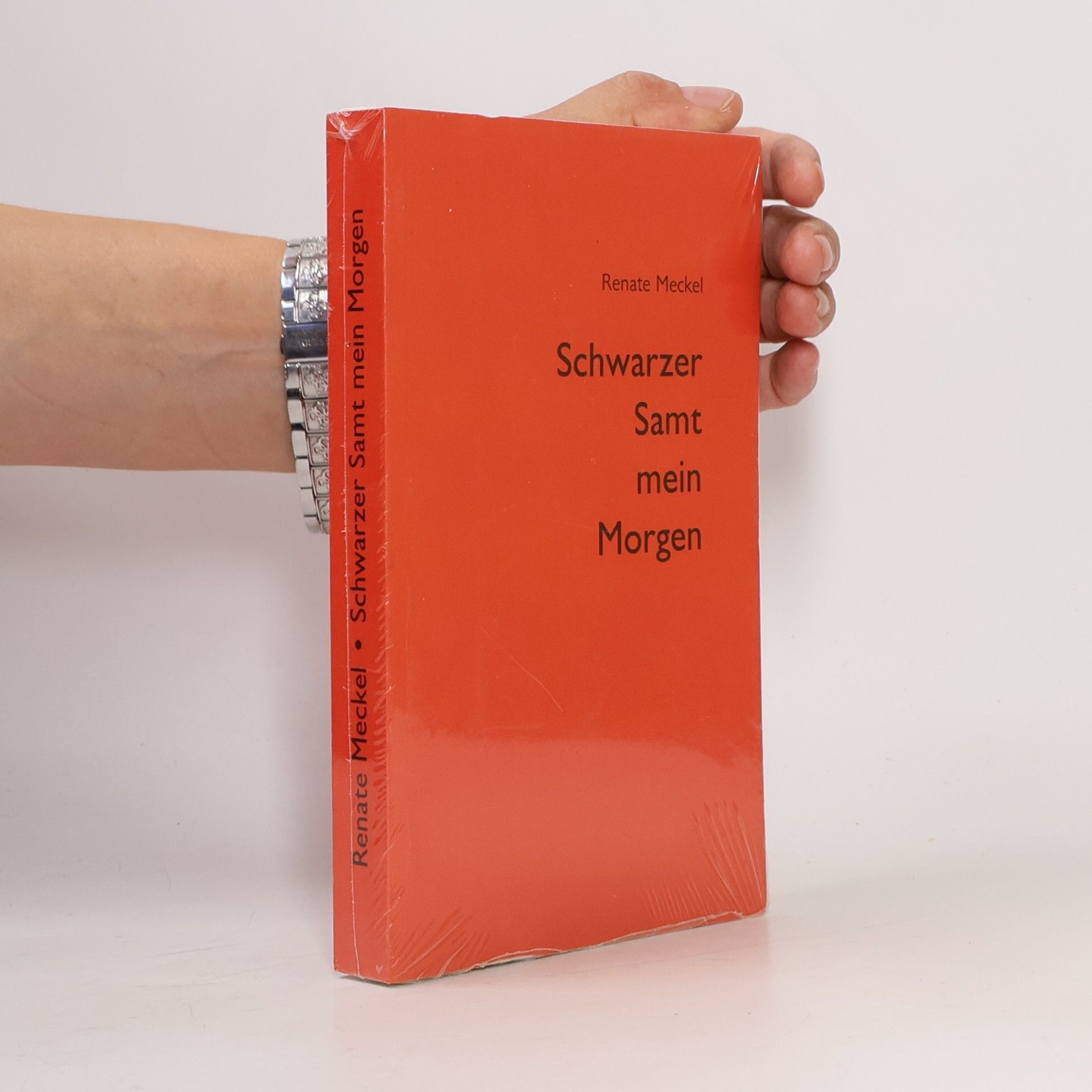Renate Meckel Schwarzer Samt mein Morgen