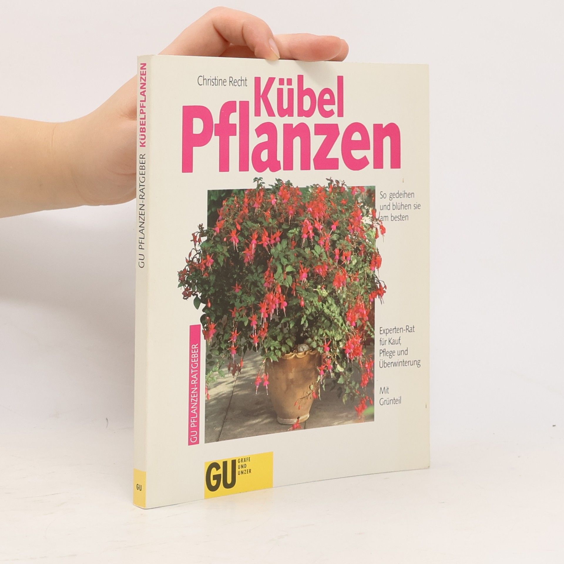 Christine Recht Kübel-Pflanzen