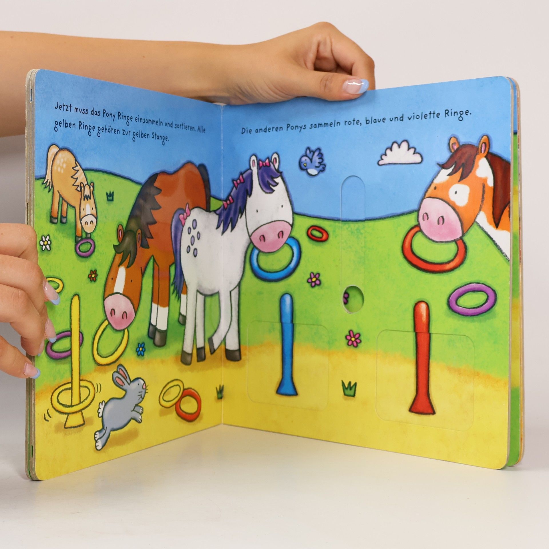 Zieh- und Schiebebuch - Kleines Pony