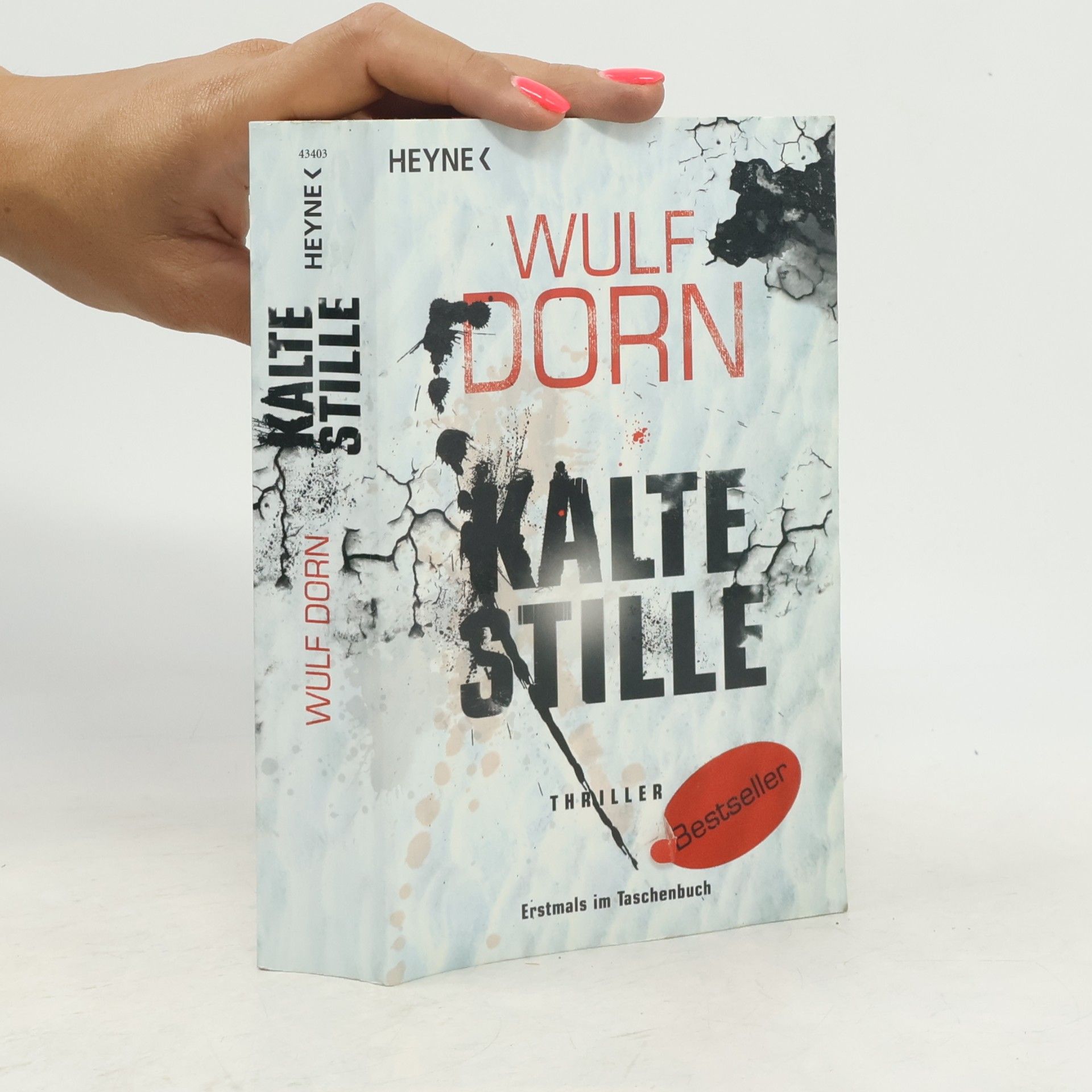 Wulf Dorn Kalte Stille