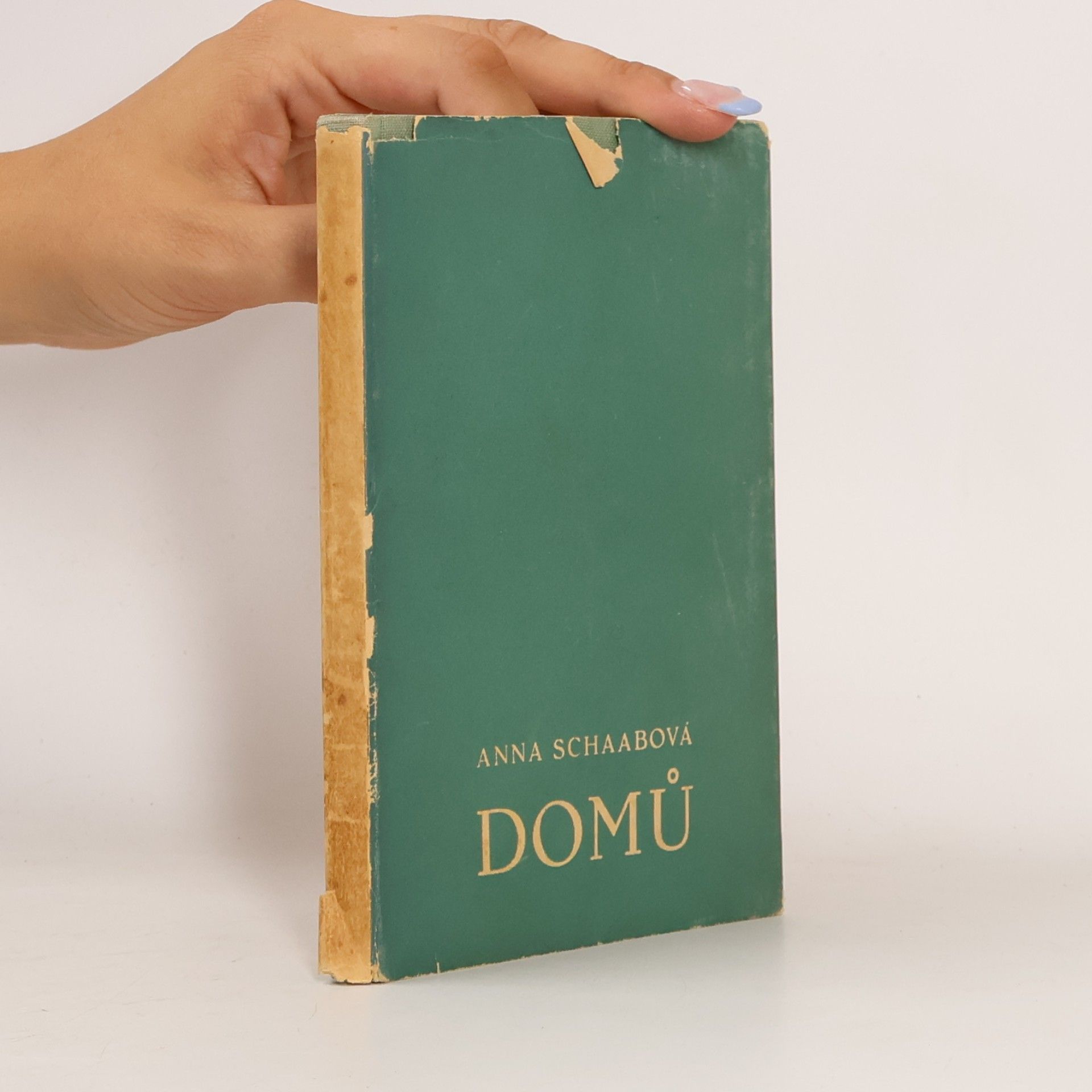 Anna Schaab Domů