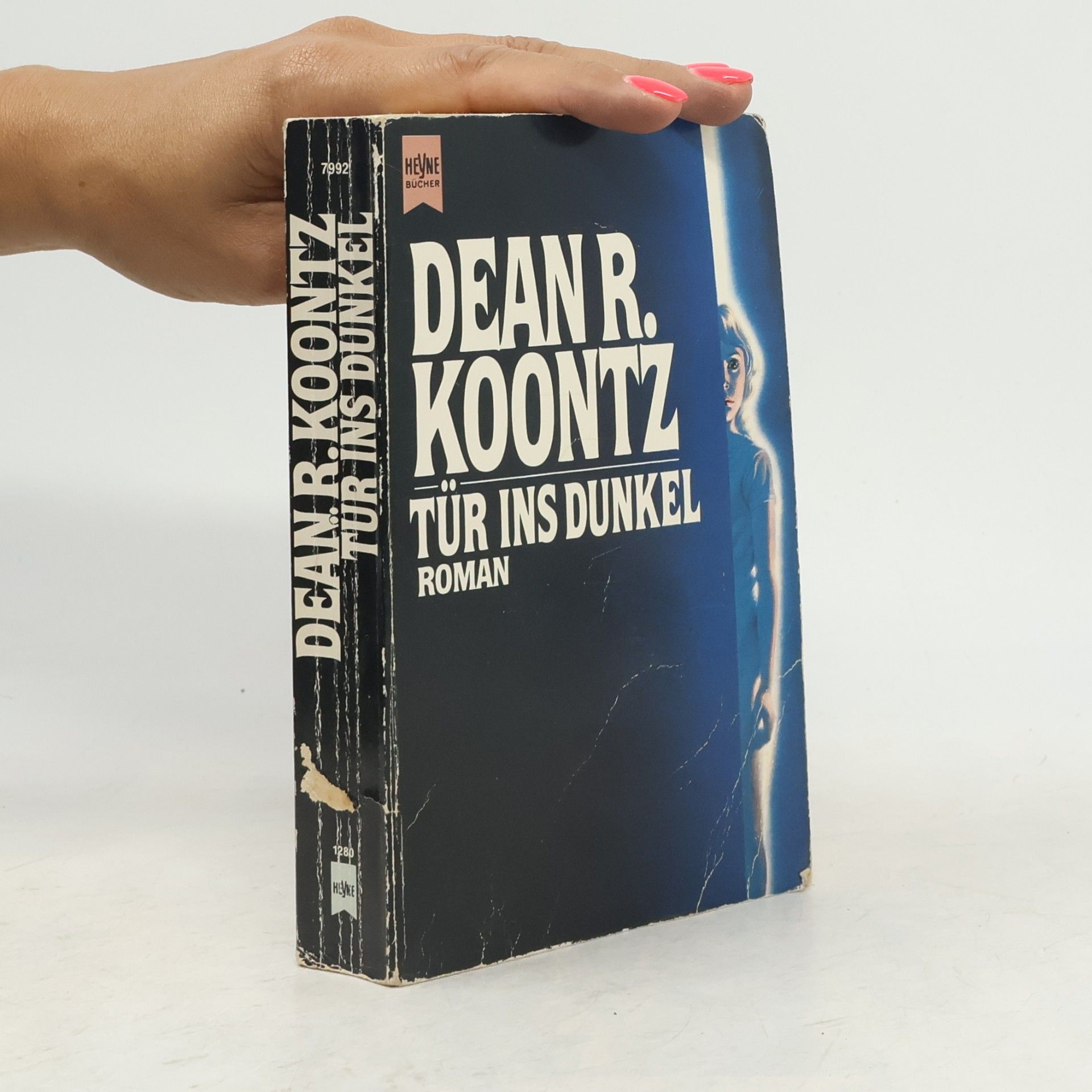 Dean Ray Koontz Tür ins Dunkel