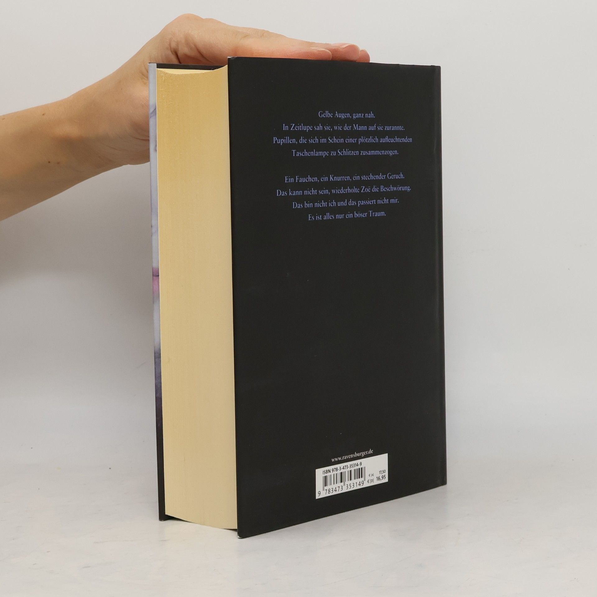 Nina Blazon Schattenauge