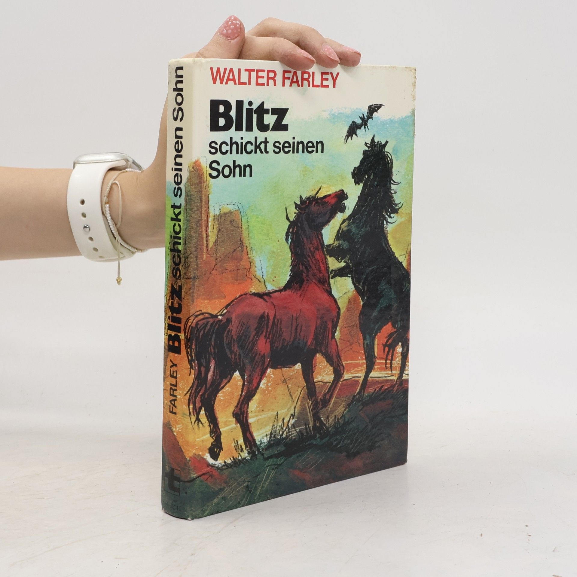 Walter Farley Blitz schickt seinen Sohn