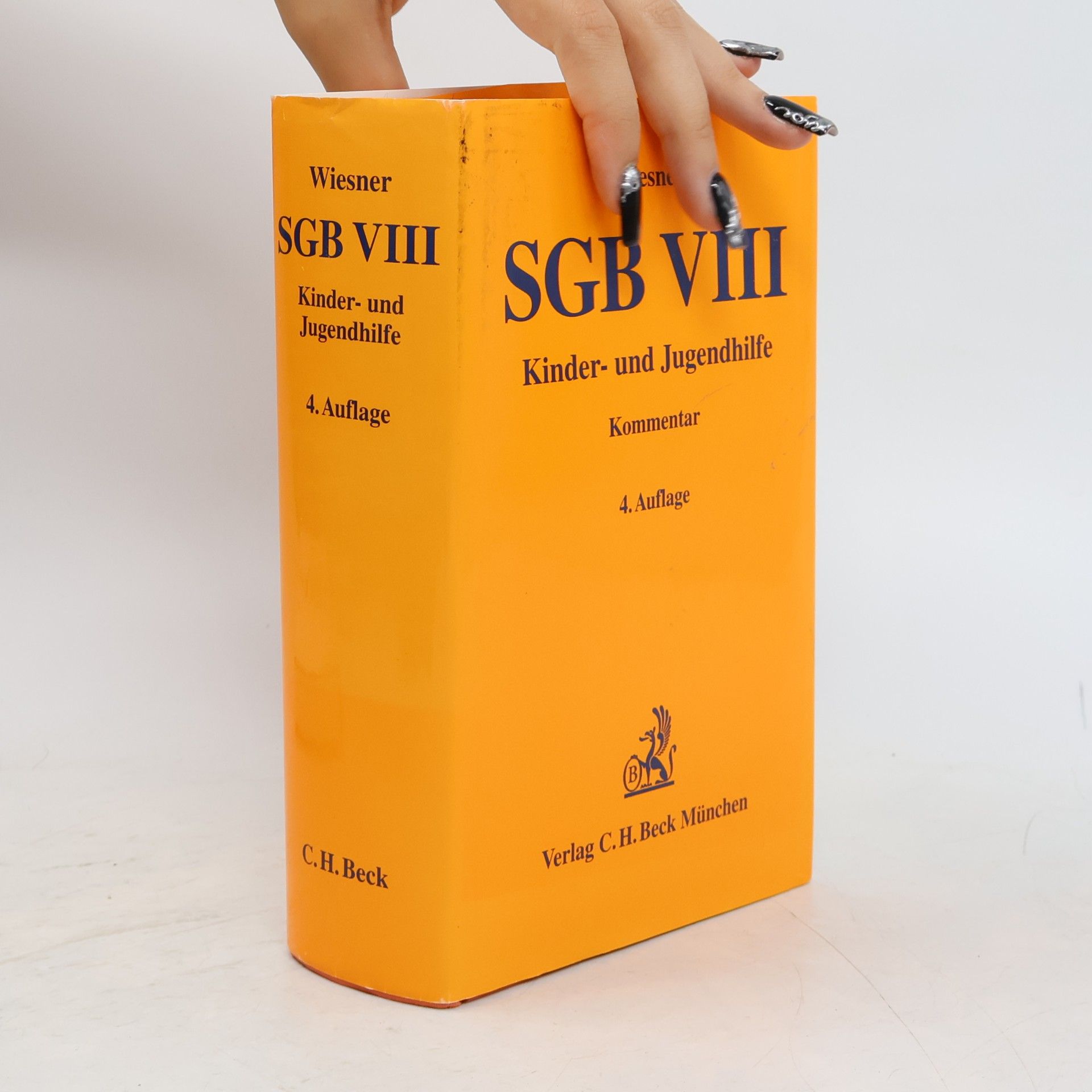Reinhard Wiesner SGB VIII, Kinder- und Jugendhilfe