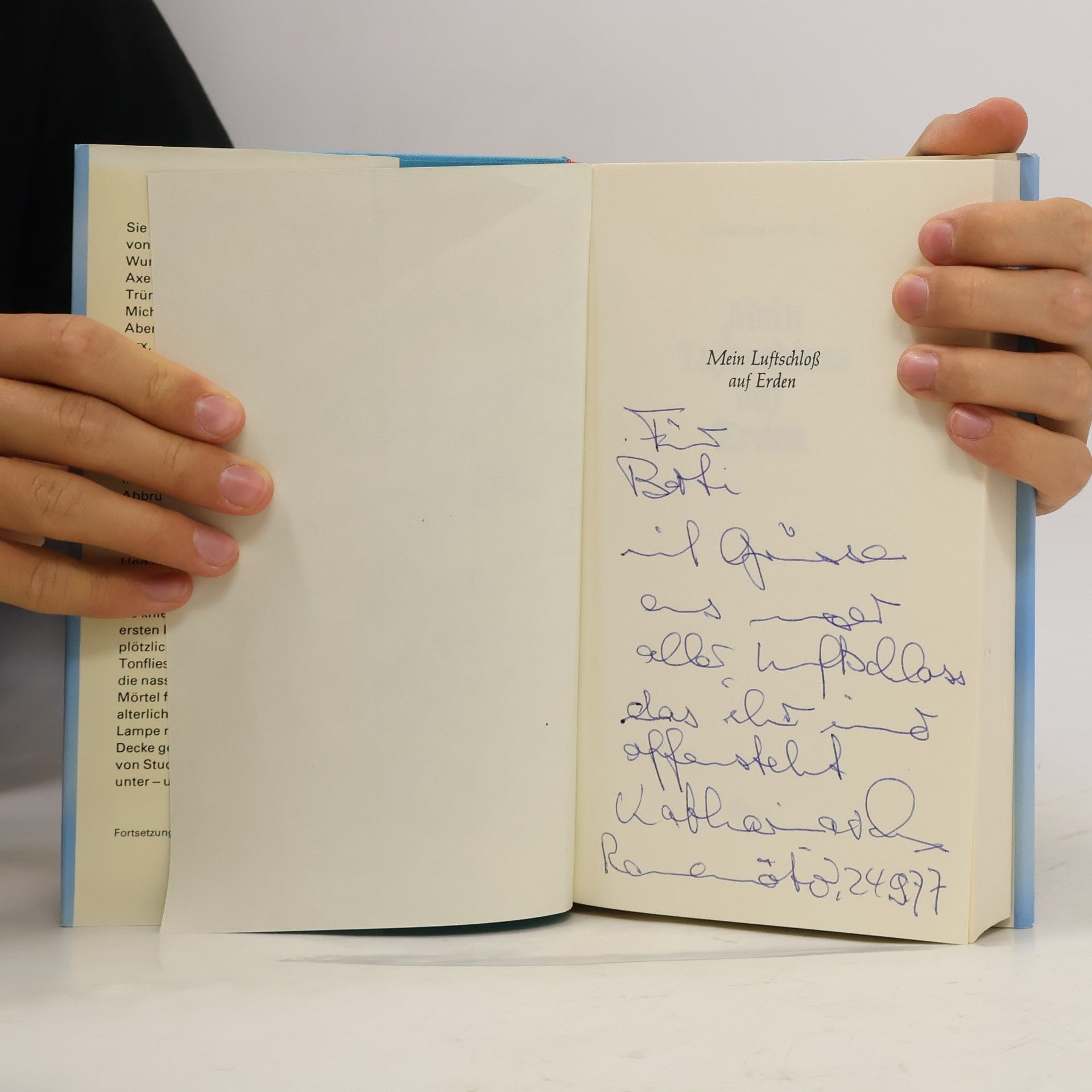 Katharina von Arx Mein Luftschloss auf Erden