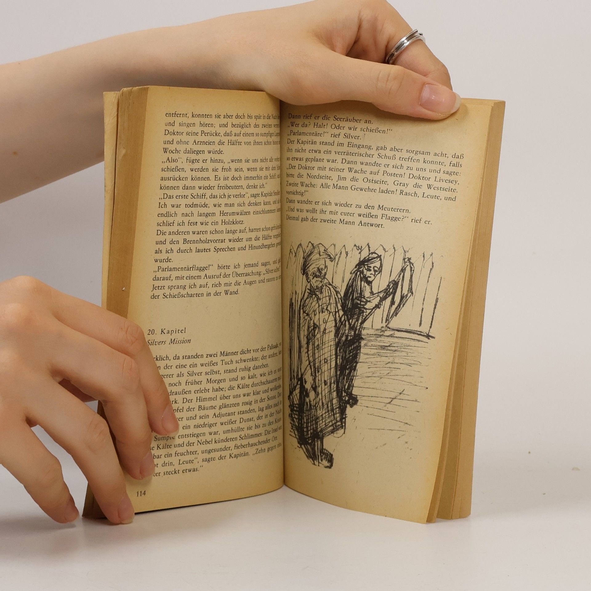 Robert Louis Stevenson Die Schatzinsel