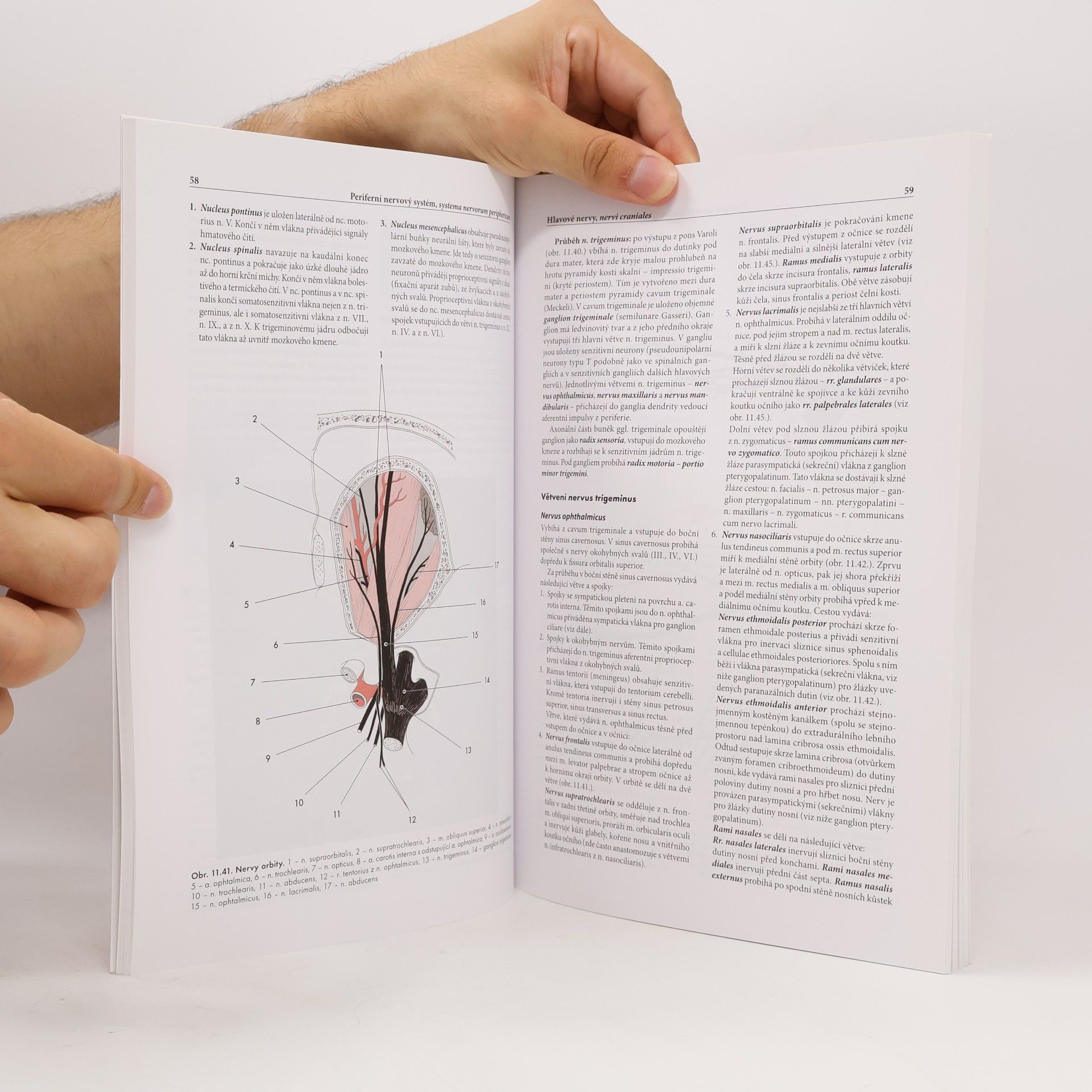 Miloš Grim Základy anatomie. 4b., Periferní nervový systém, smyslové orgány a kůže