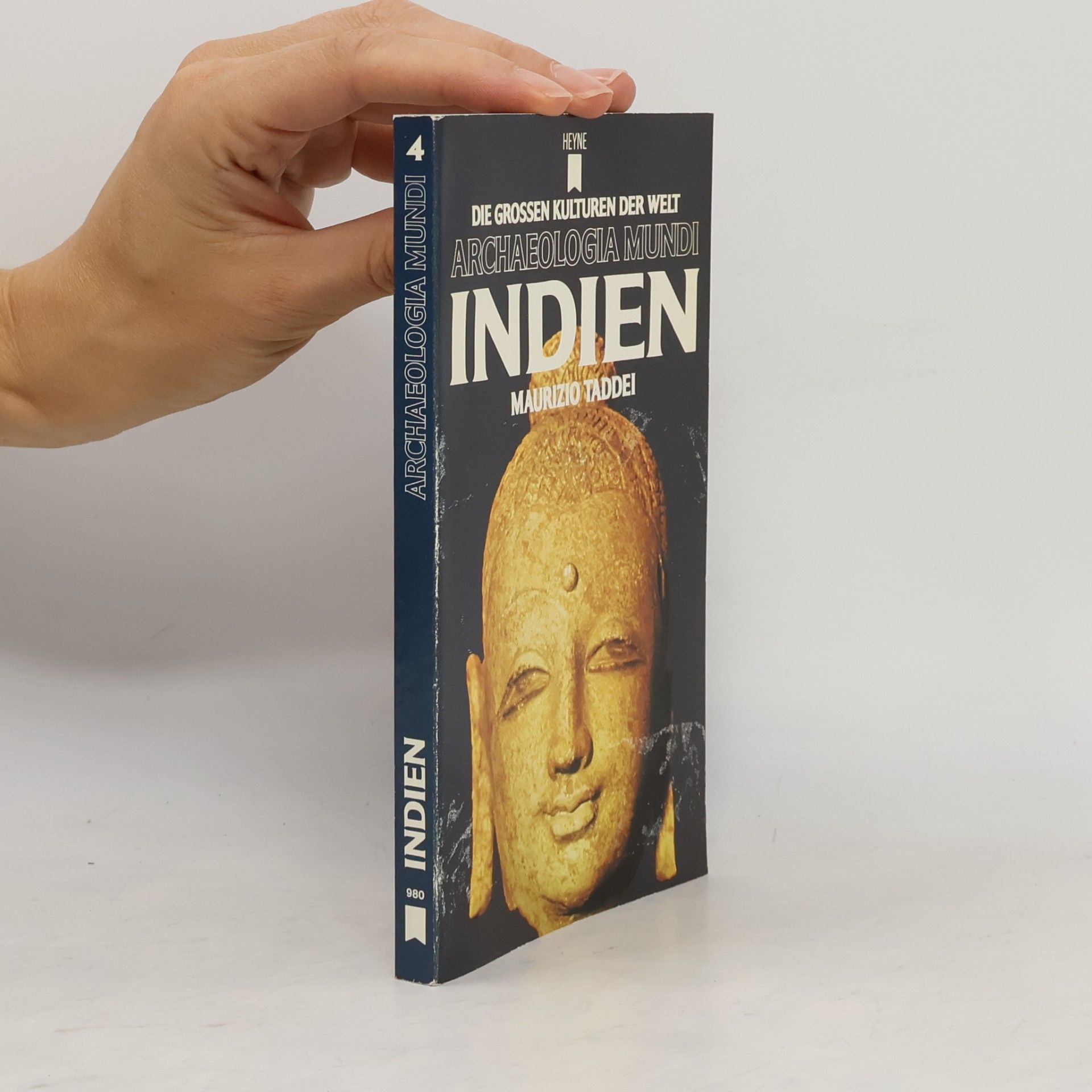 Maurizio Taddei Indien