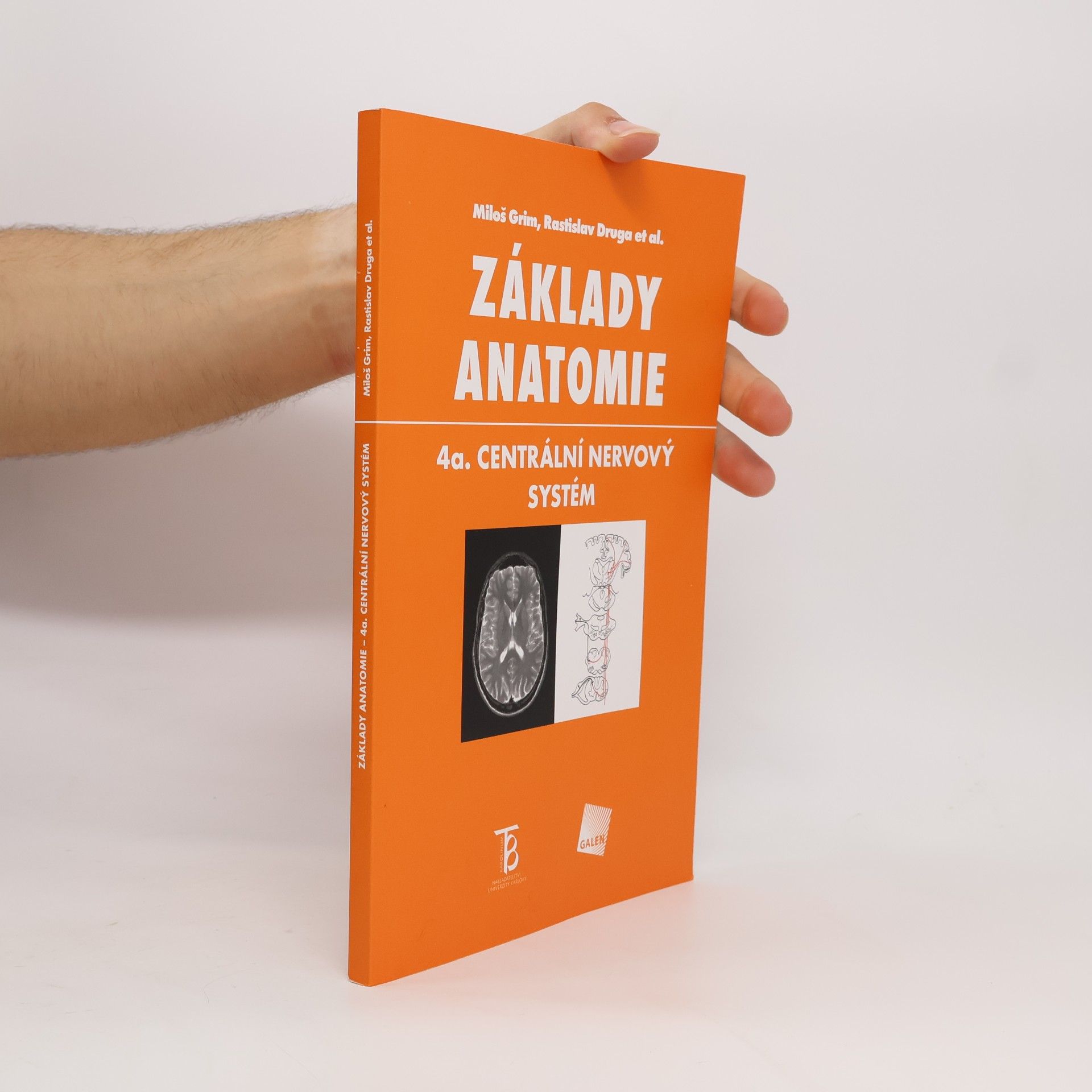 Základy anatomie. 4a., Centrální nervový systém