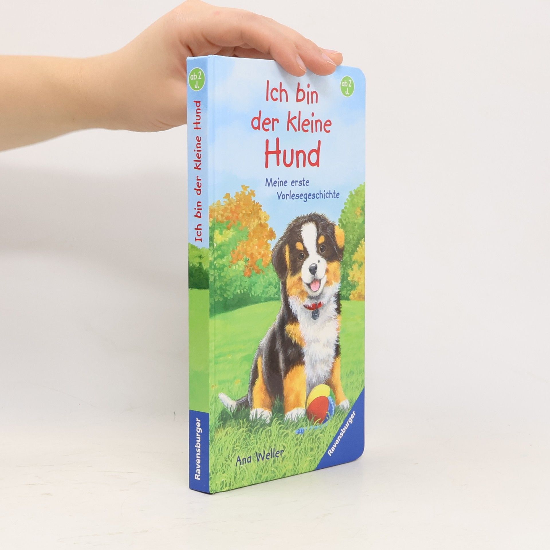 Ana Weller Ich bin der kleine Hund