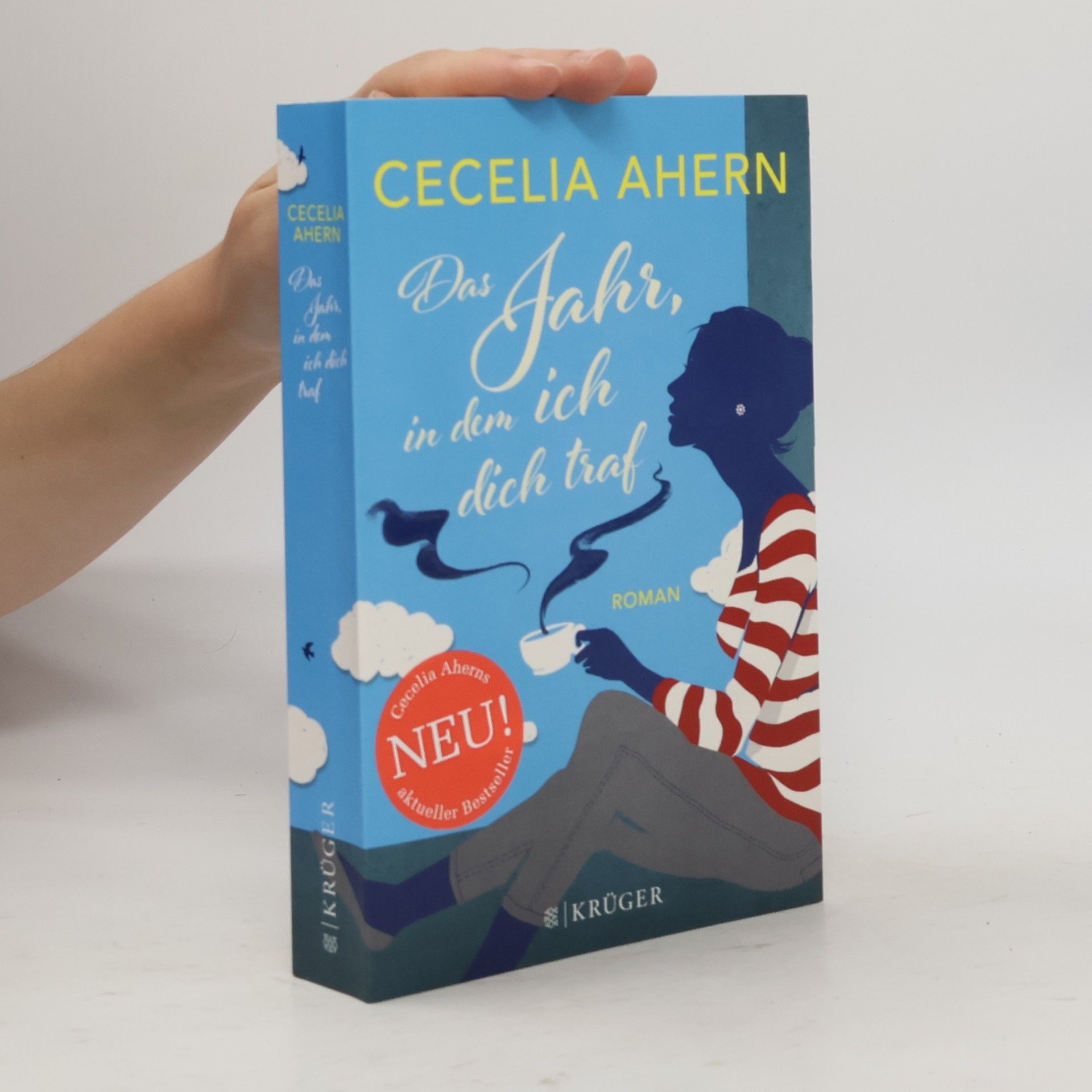 Cecelia Ahern Das Jahr, in dem ich dich traf