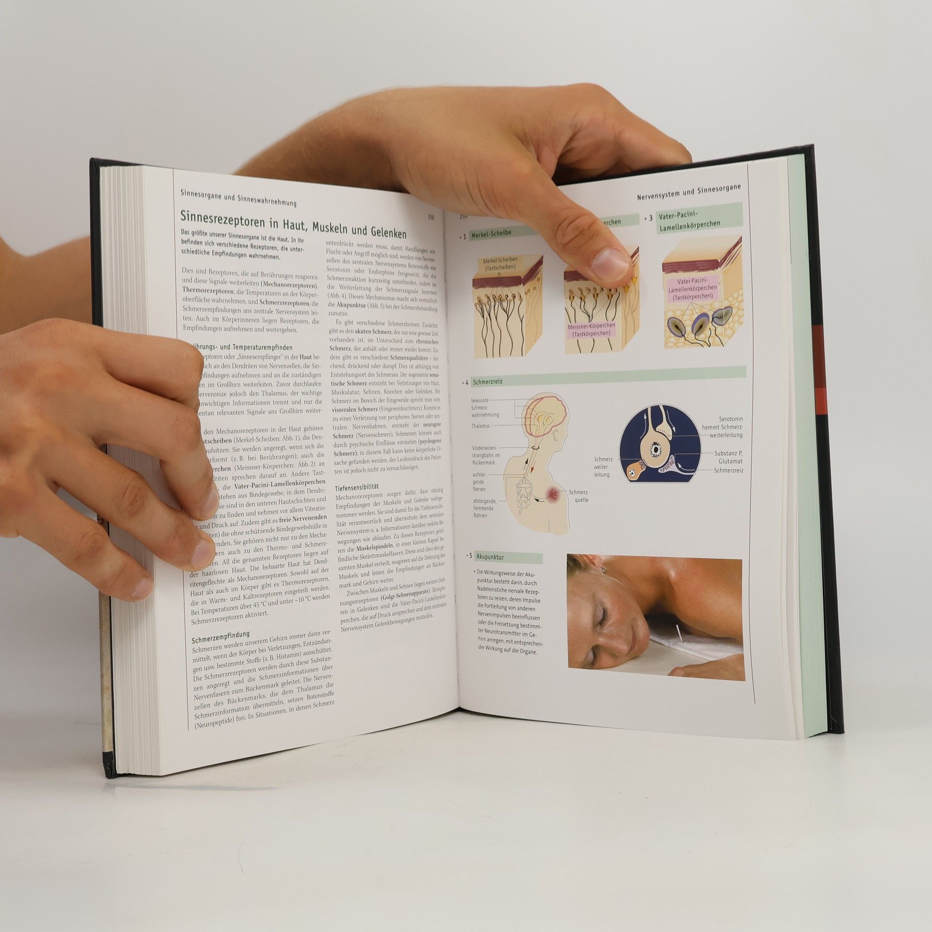Various authors GEO Themenlexikon 32. Der Mensch