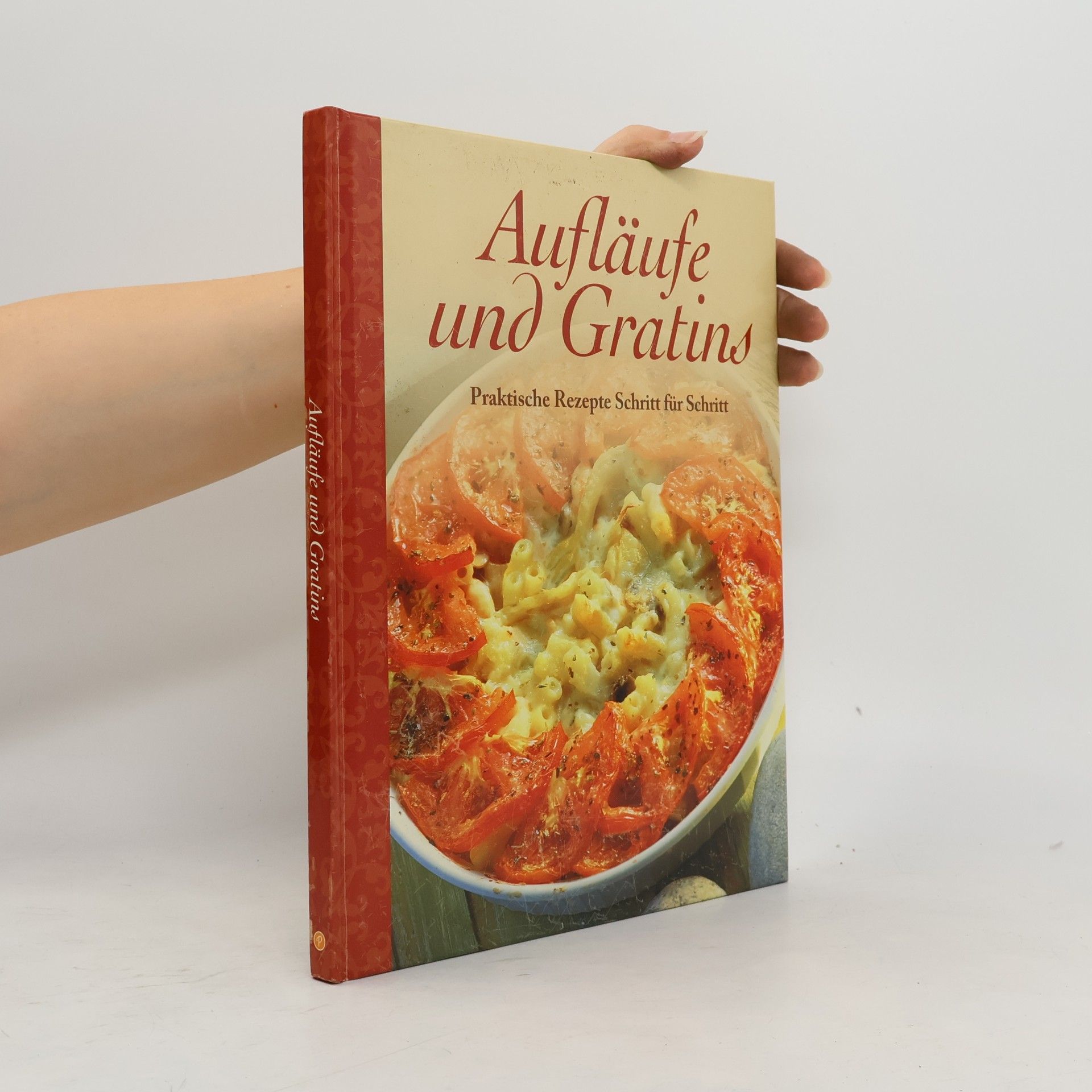 Kolektiv autorů Aufläufe und Gratins