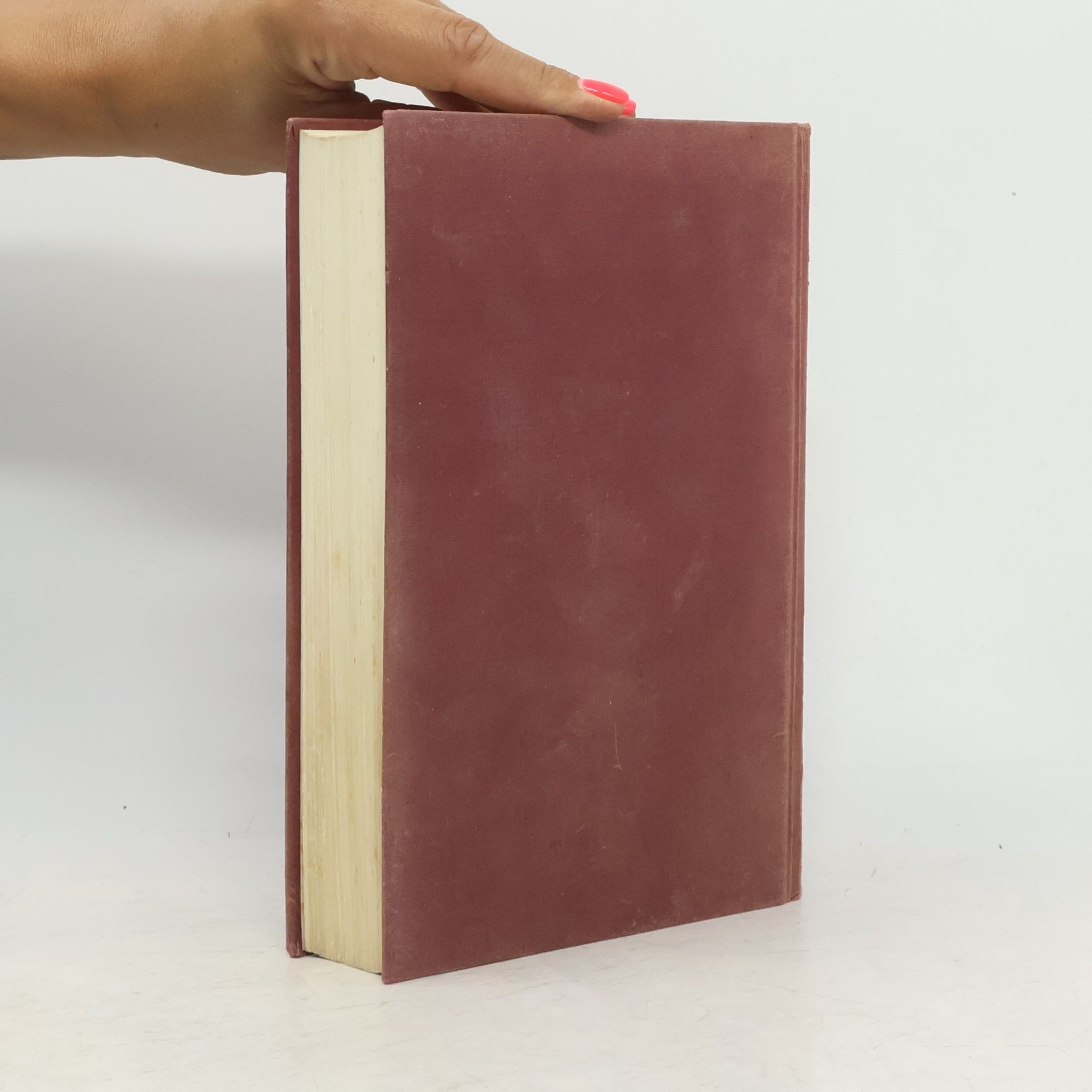 Danielle Steel Der Preis des Glücks