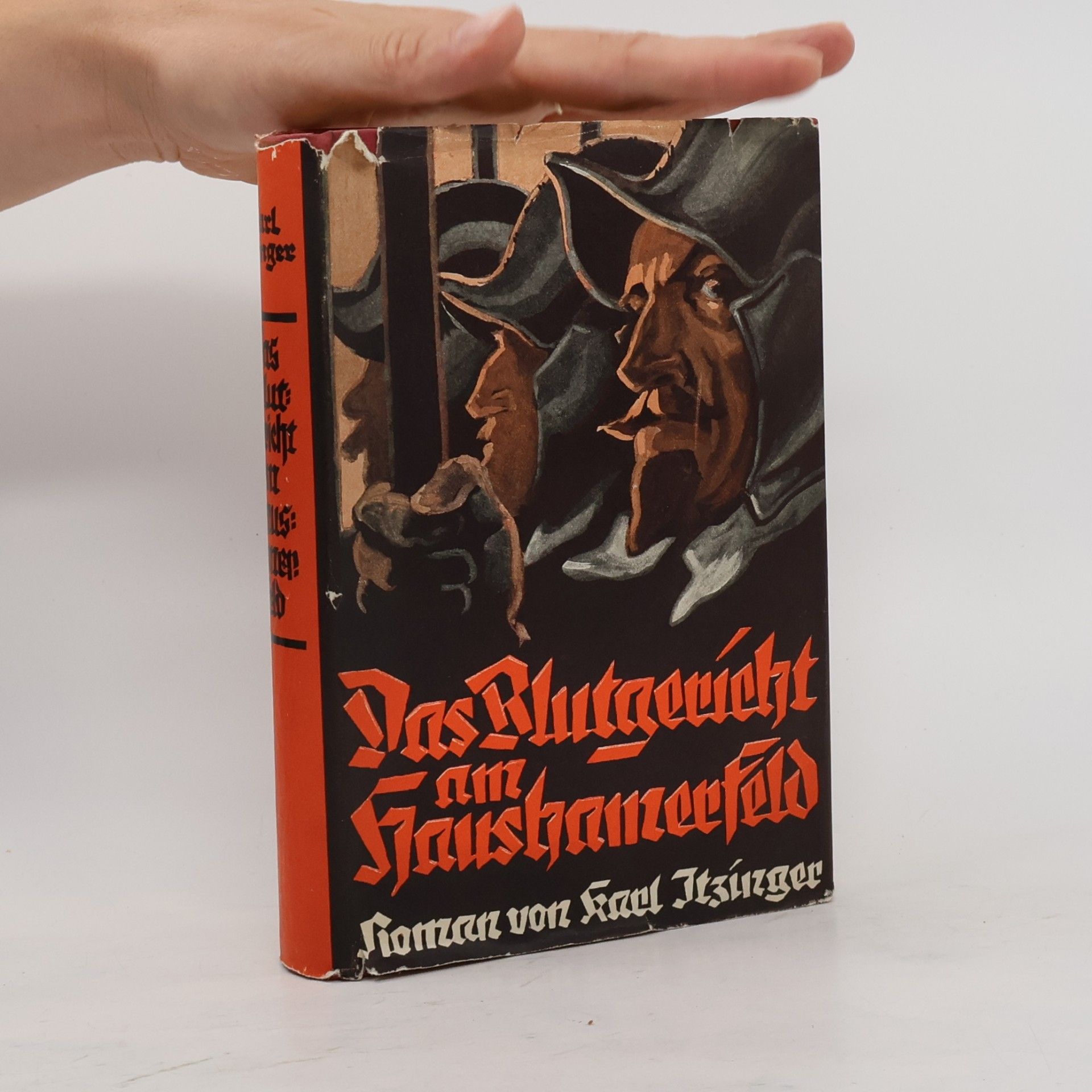 Das Blutgericht am Haushamerfeld