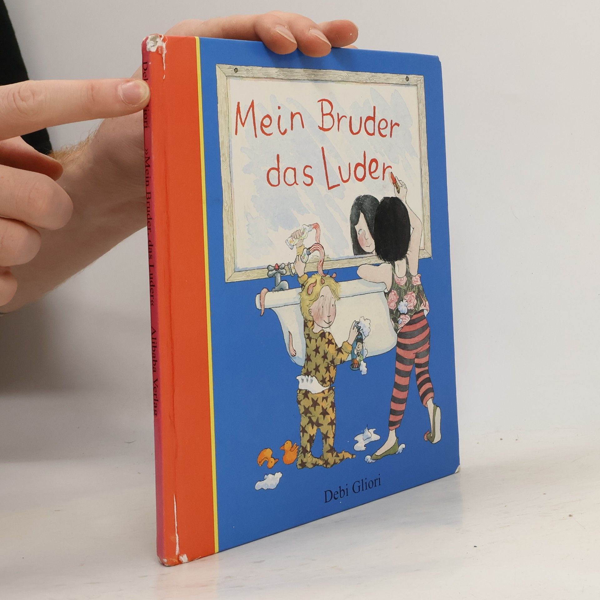 Debi Gliori Mein Bruder, das Luder