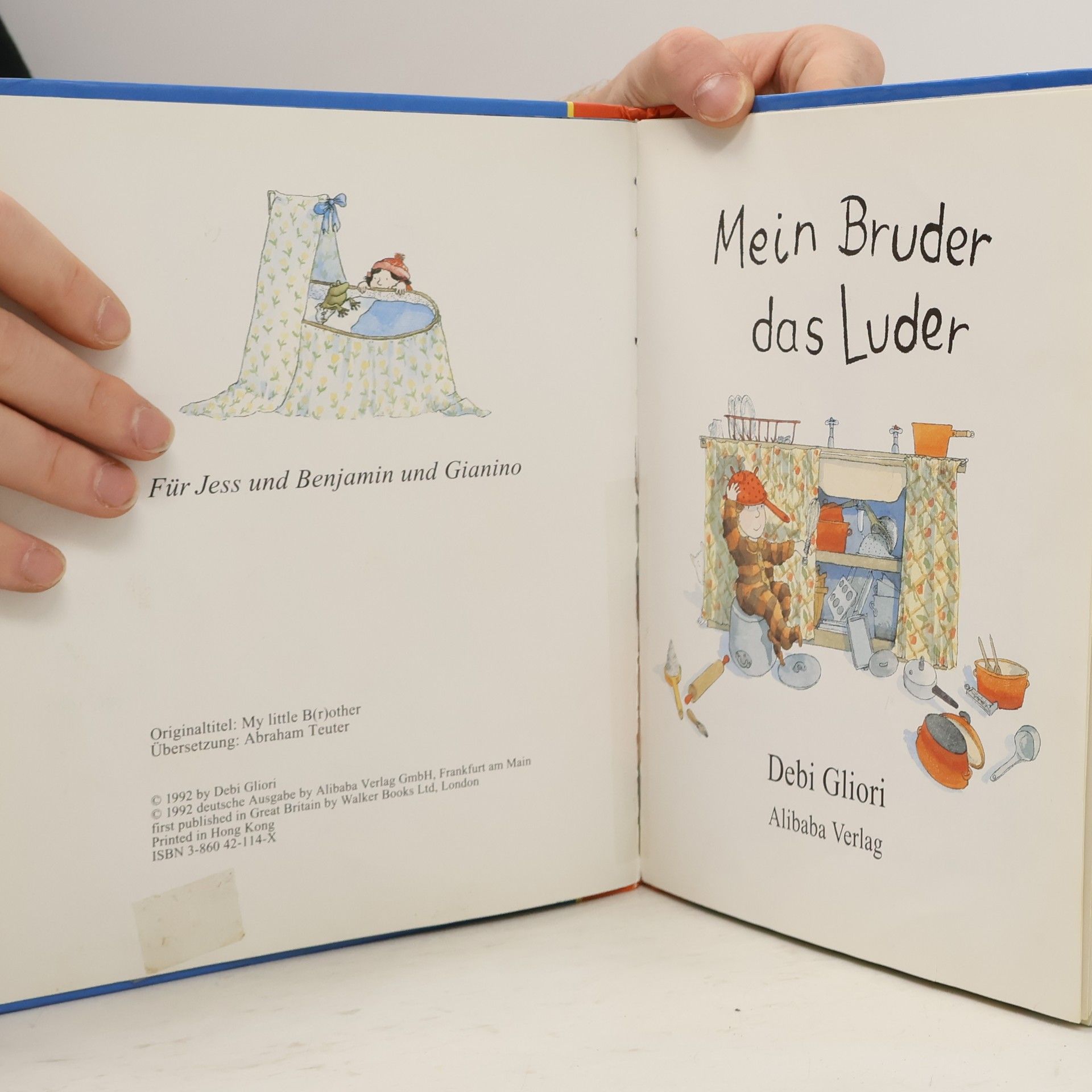 Debi Gliori Mein Bruder, das Luder