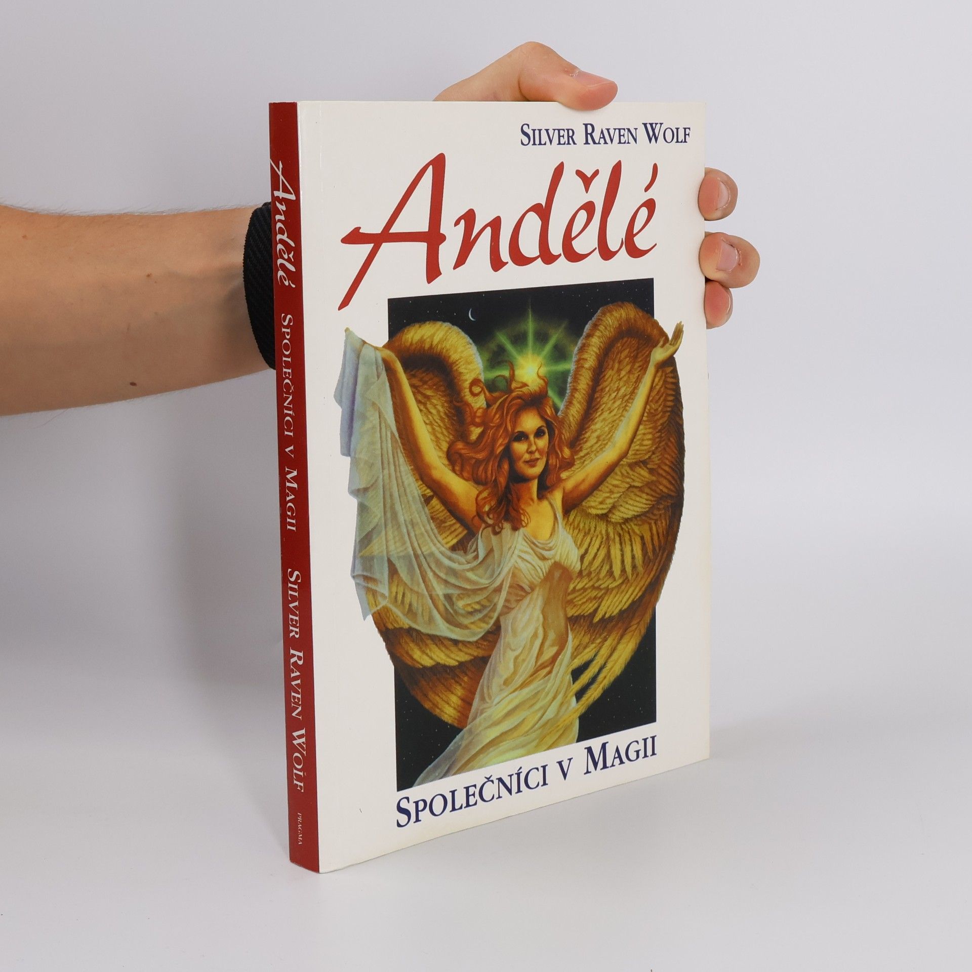 Silver RavenWolf Andělé : Společníci v magii
