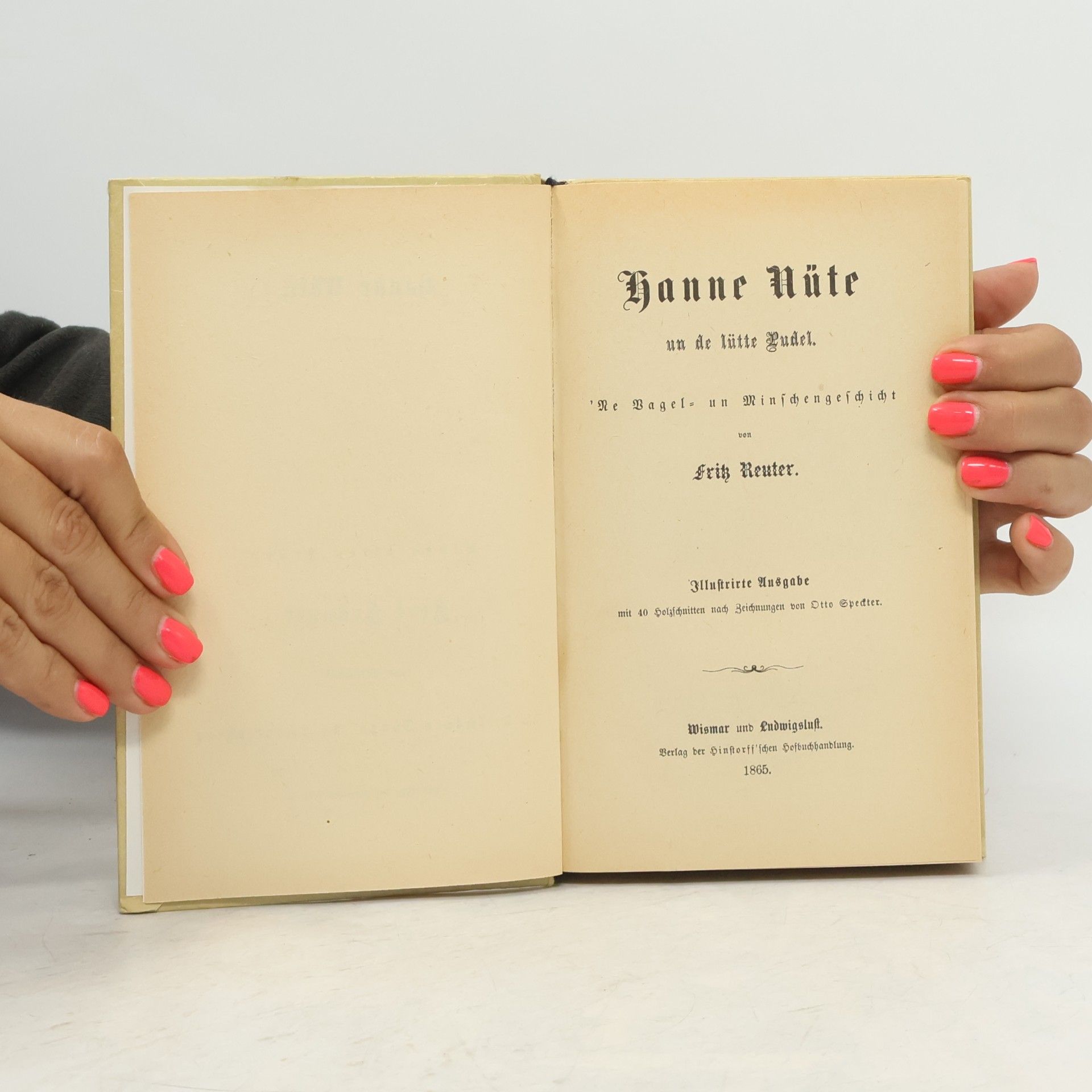 Fritz Reuter Hanne Nüte un de lütte Pudel