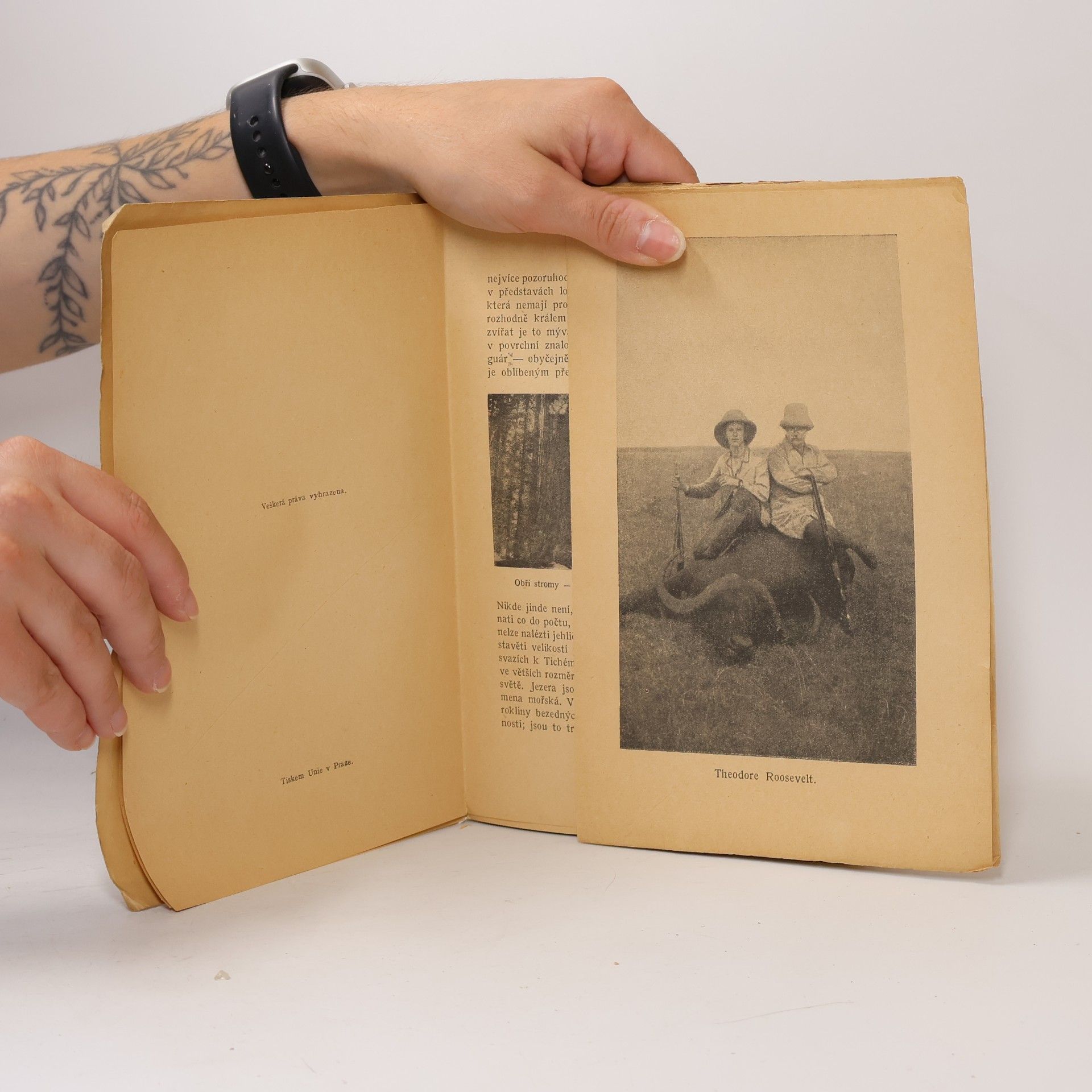 Theodore Roosevelt Mezi zálesáky