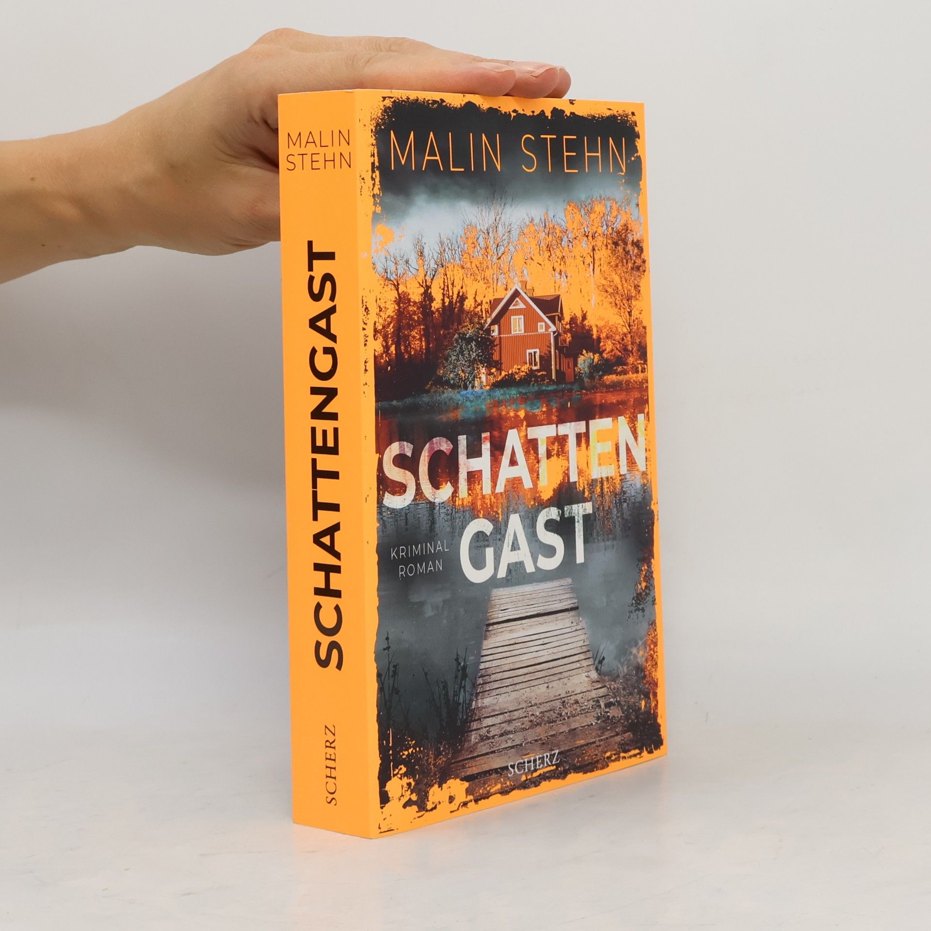 Malin Stehn Schattengast