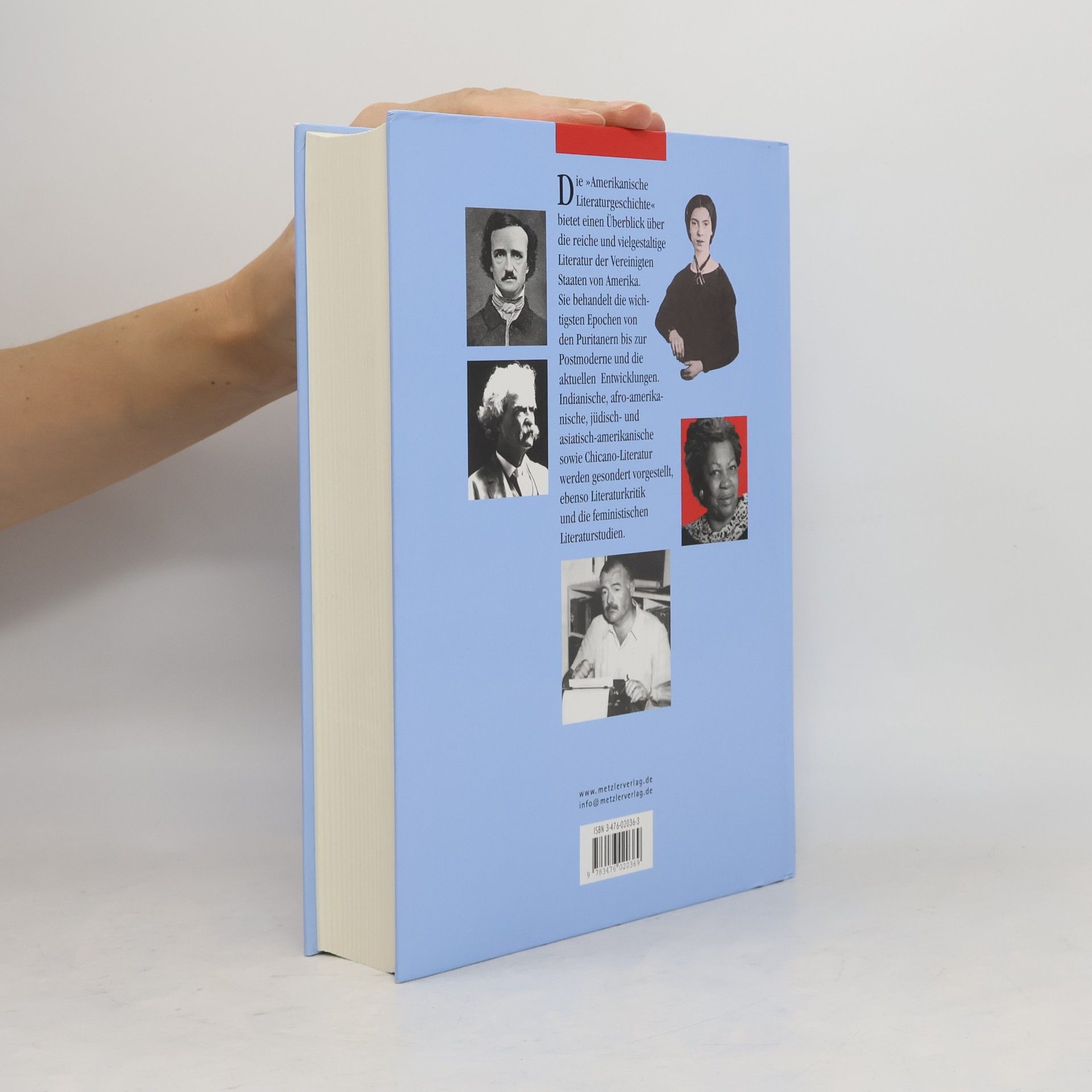 Hubert Zapf Amerikanische Literaturgeschichte