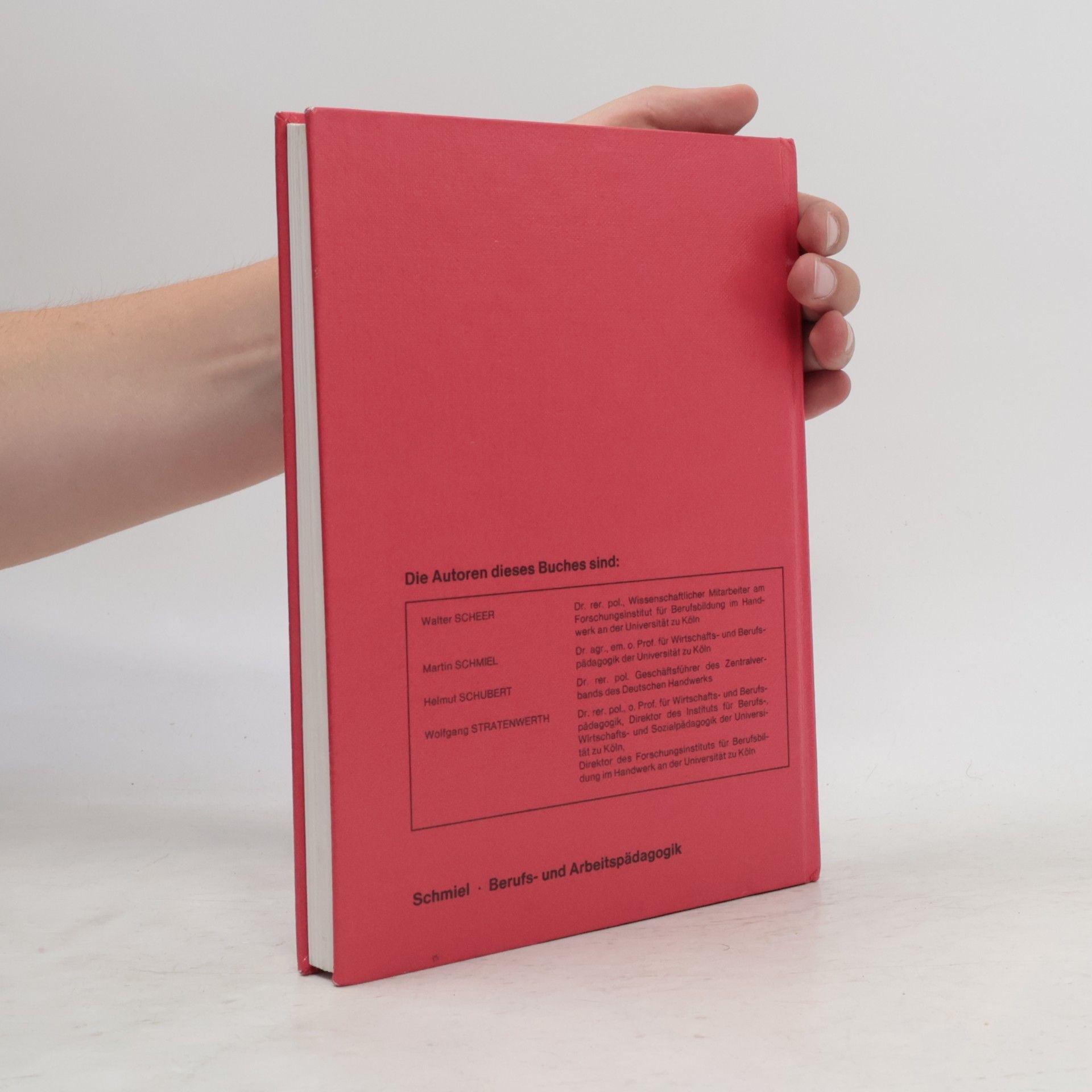Martin Schmiel Berufs- und Arbeitspädagogik. Handbuch für die Praxis der Berufsausbildung
