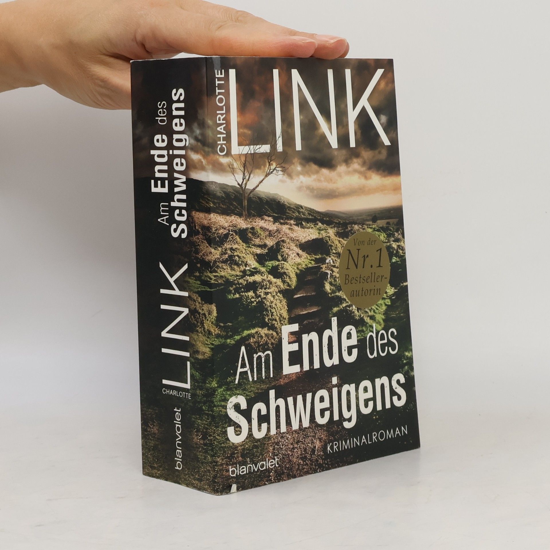 Charlotte Link Am Ende des Schweigens