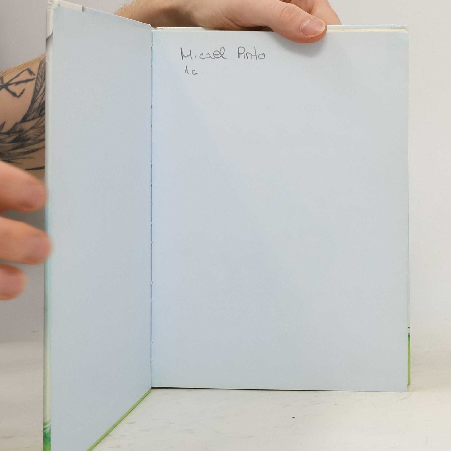 Das große Buch der Bildermäuse