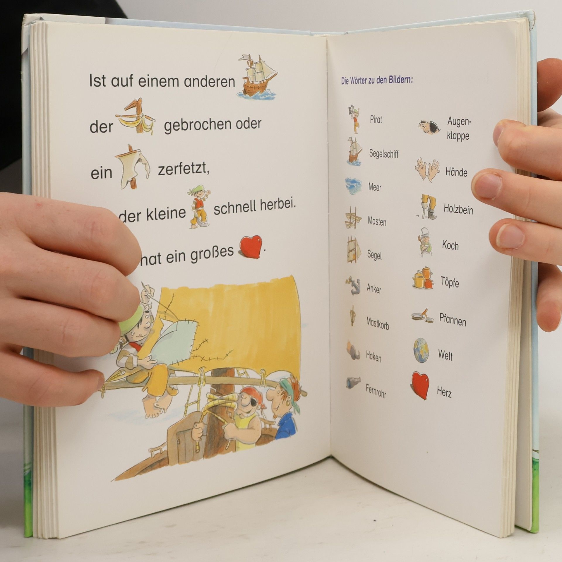 Das große Buch der Bildermäuse